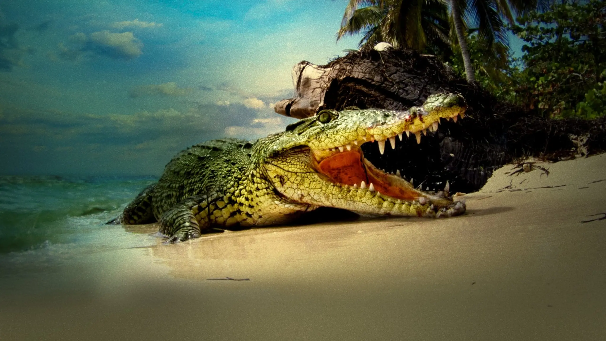 Life and Death in Paradise: Crocs of the Caribbean