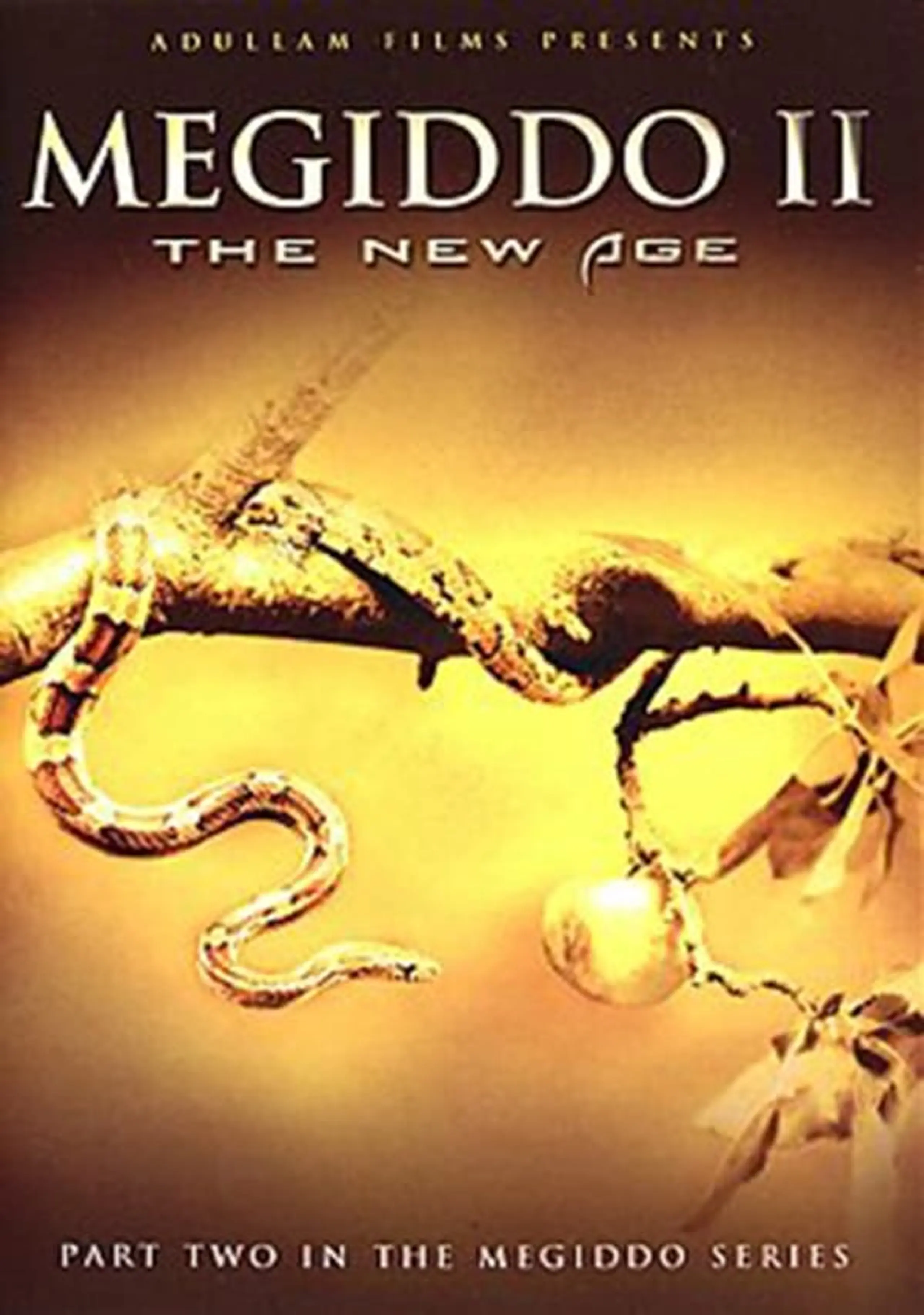 Megiddo 2: The New Age