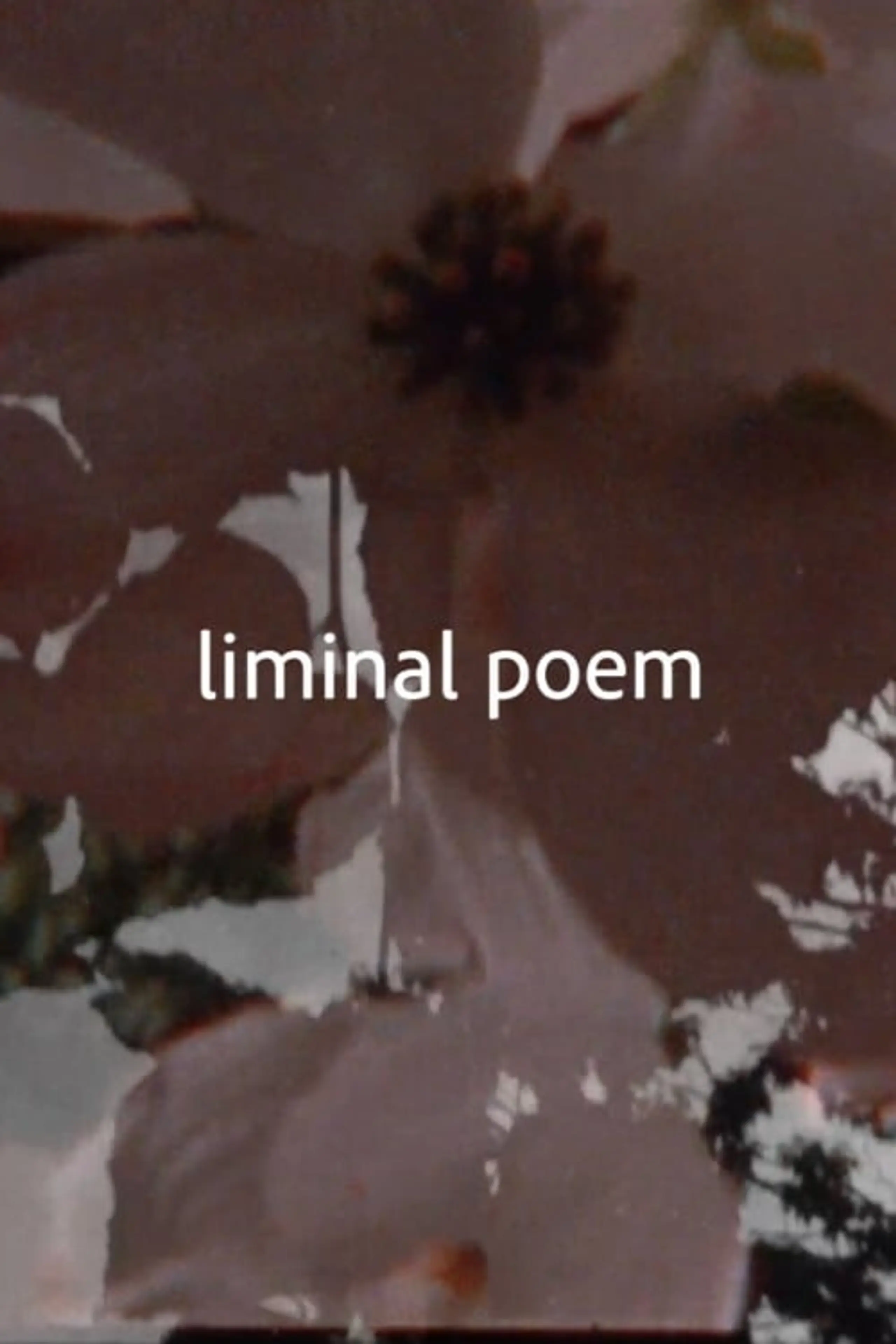 liminal poem