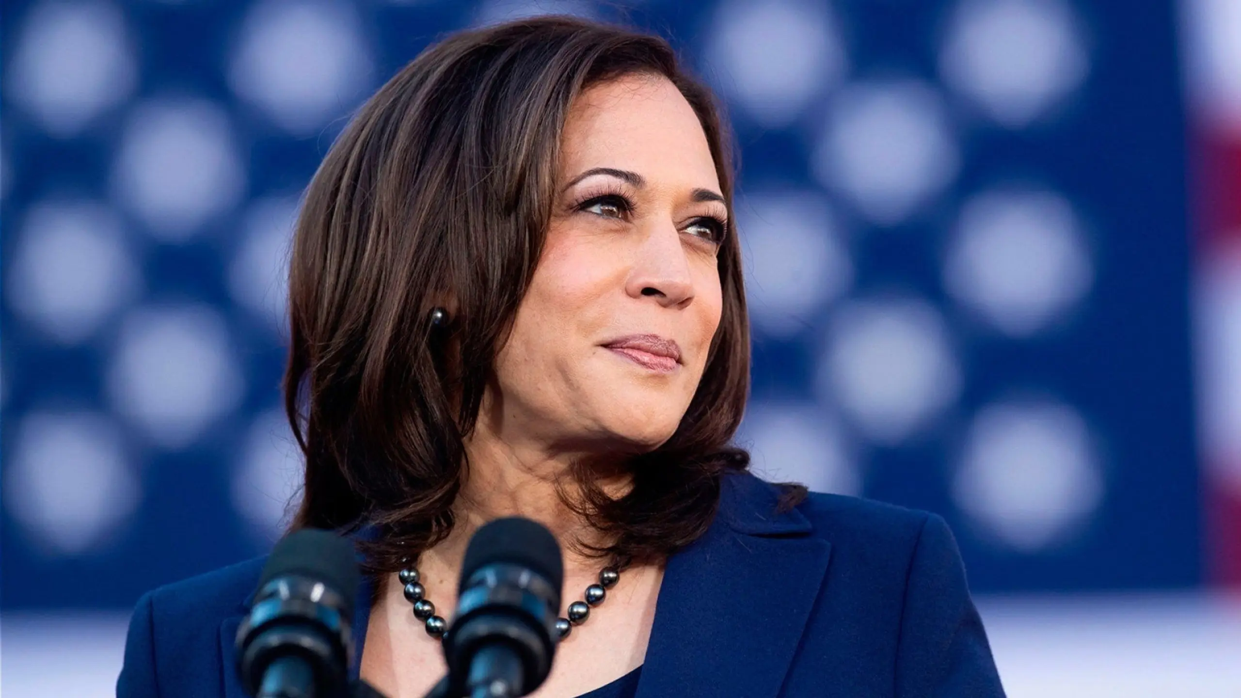 Black America Votes: The Kamala Harris VP Choice