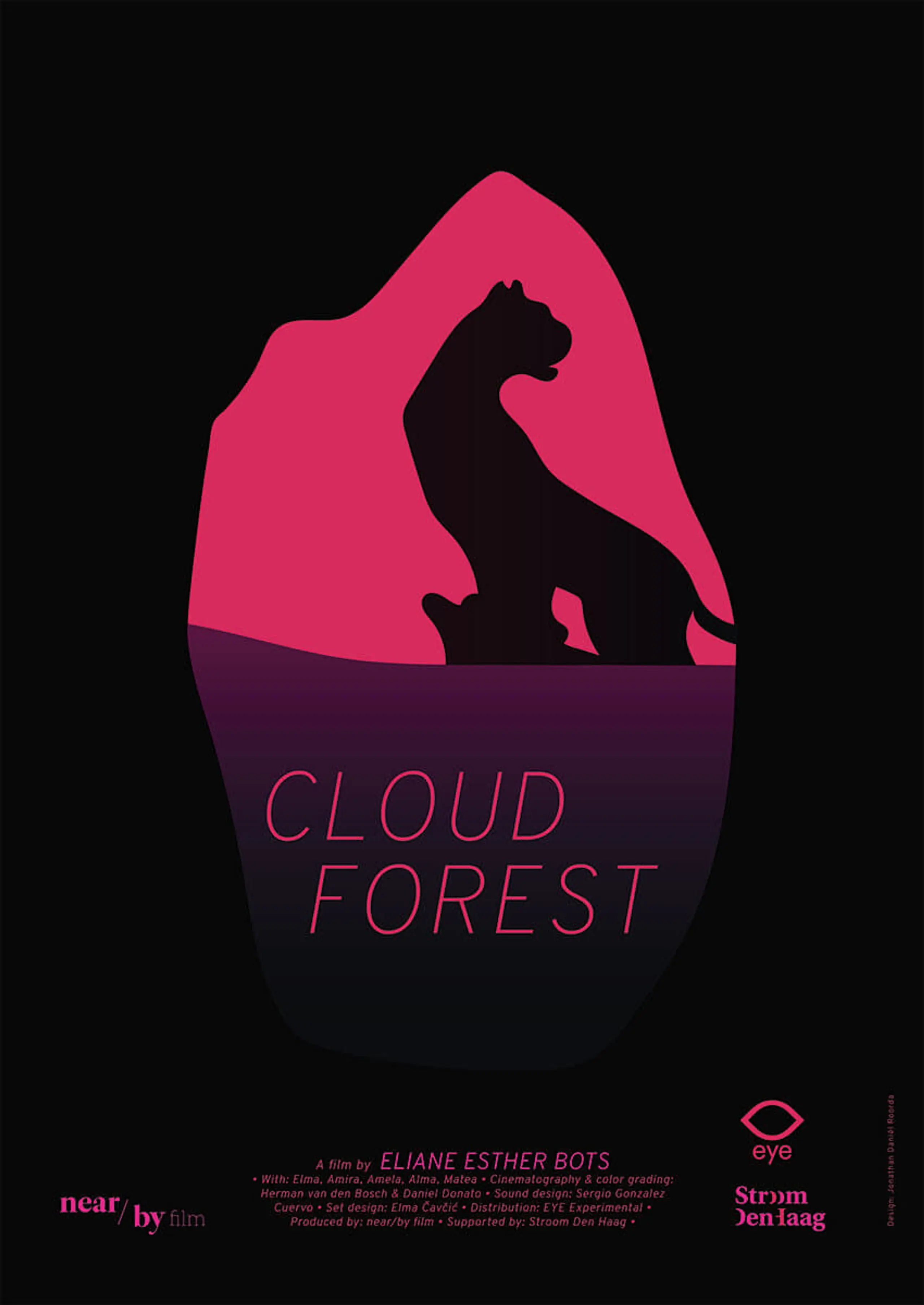 Cloud Forest