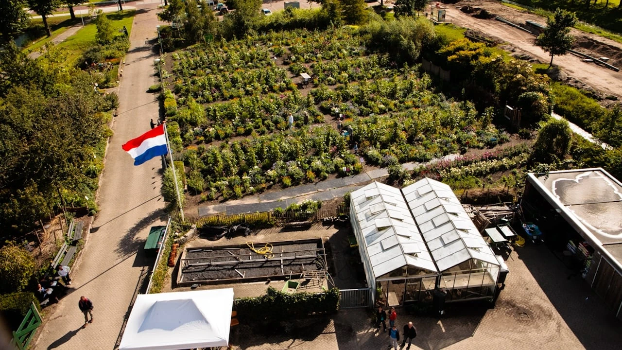 De schooltuin