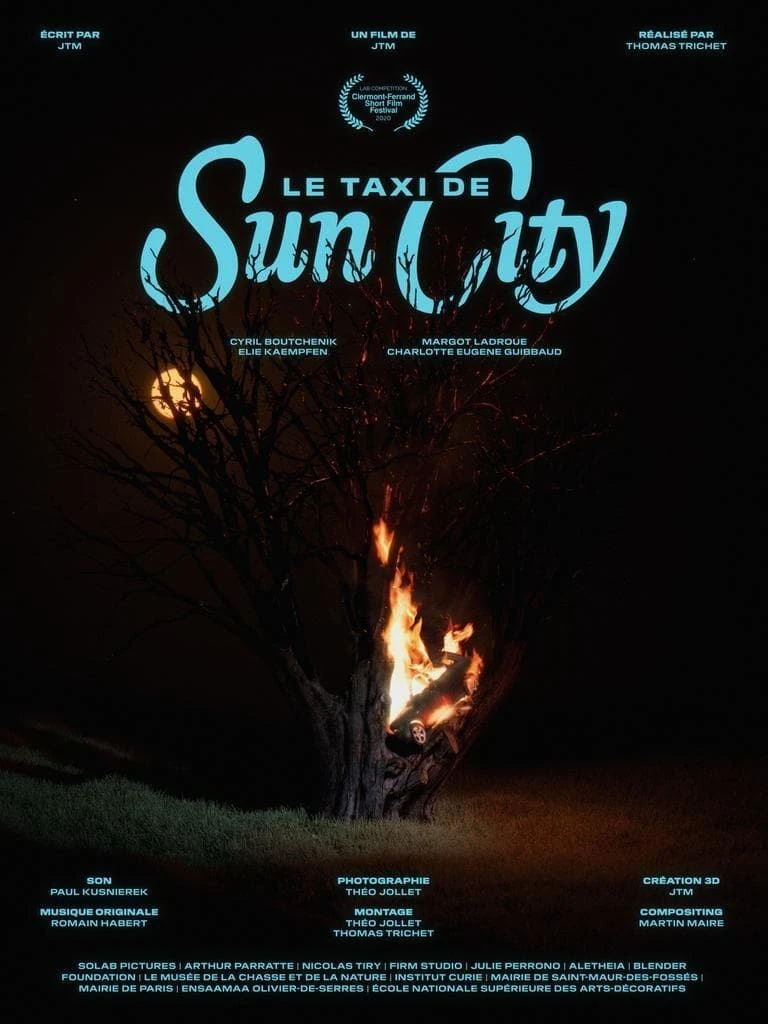 Das Taxi aus Sun City