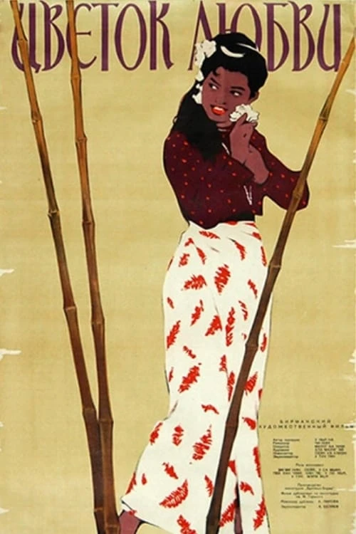 ချစ်ညီမ