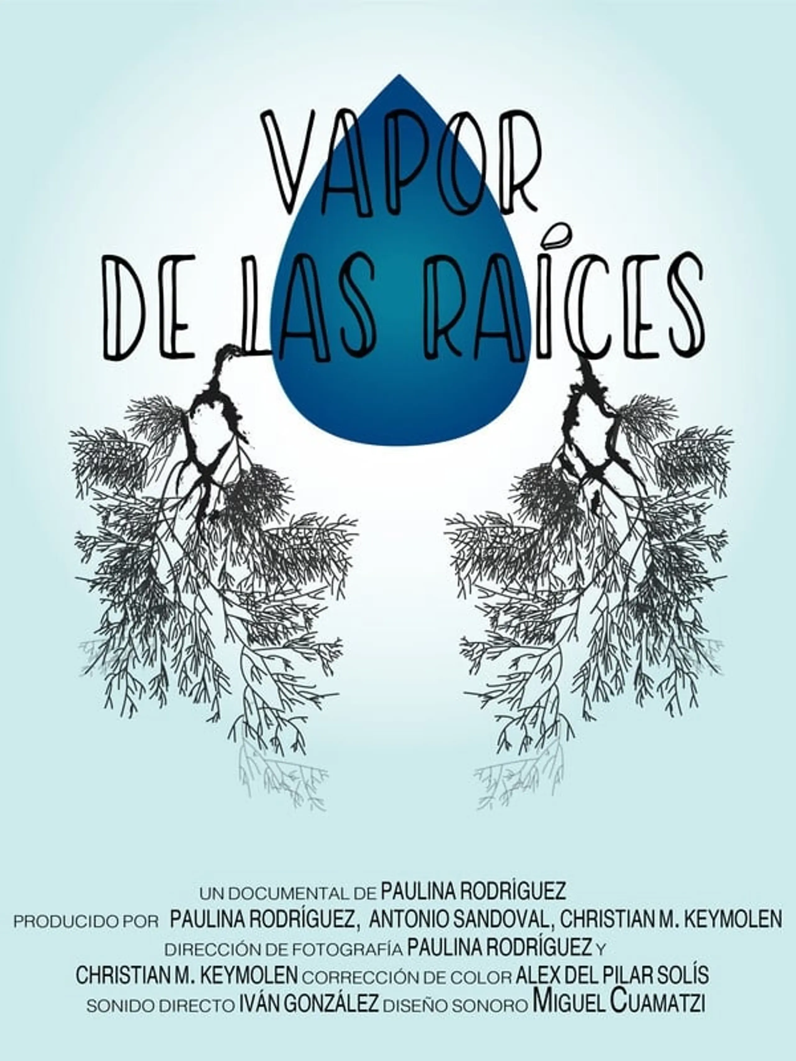 Vapor de las raíces