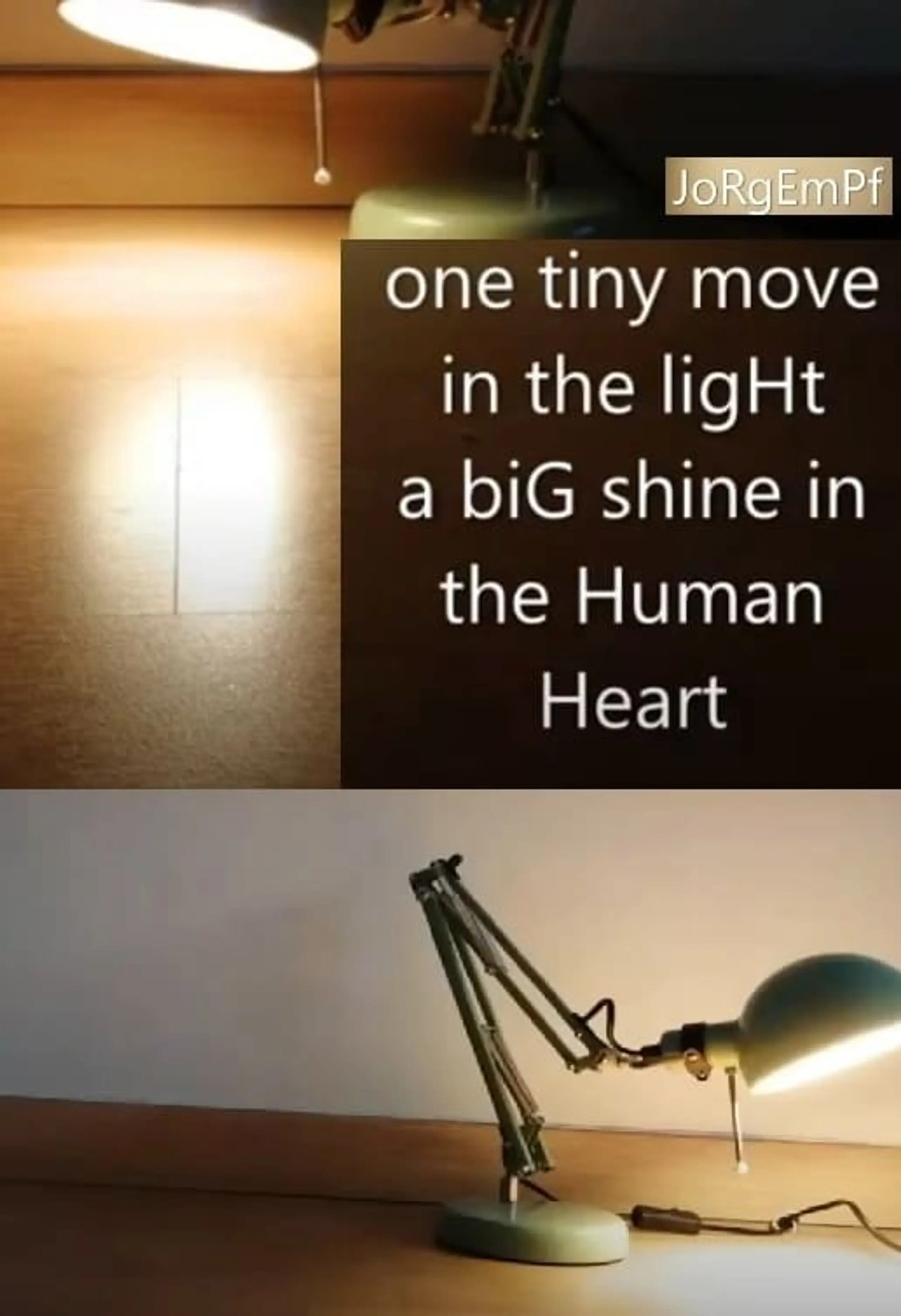 one tiny move in the ligHt, a biG shine in the Human Heart