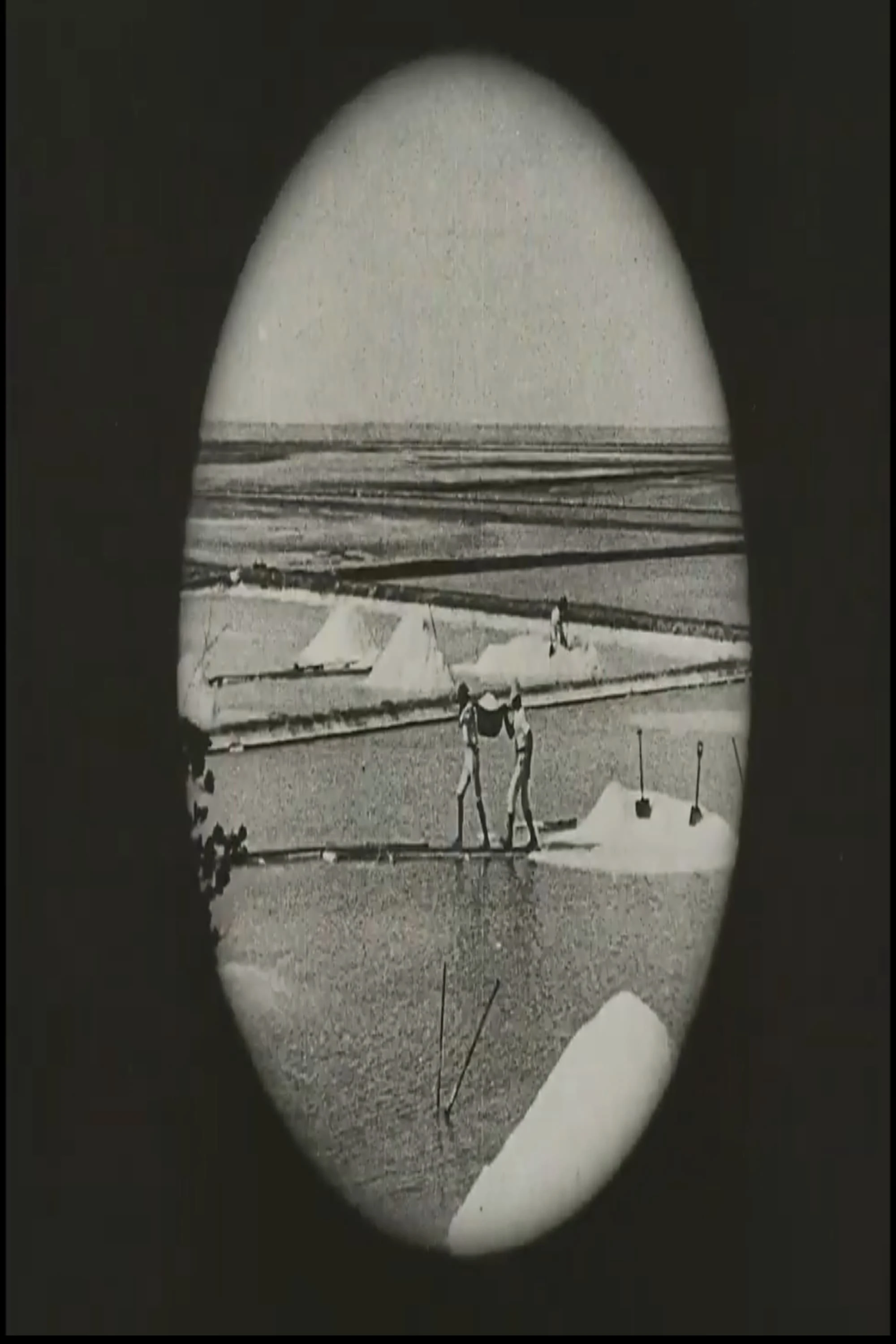 Voyage au Brésil