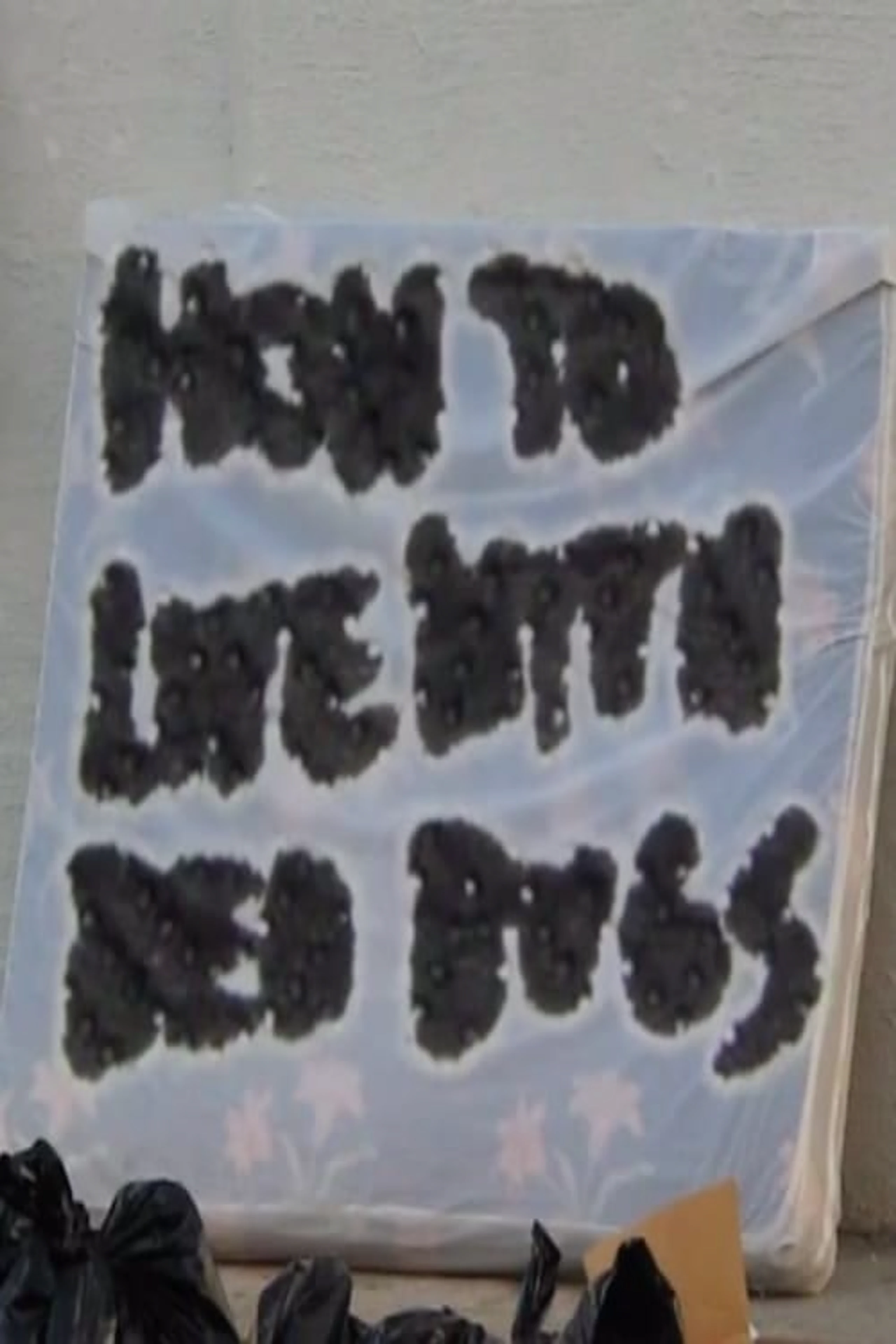 How To Live with Bed Bugs