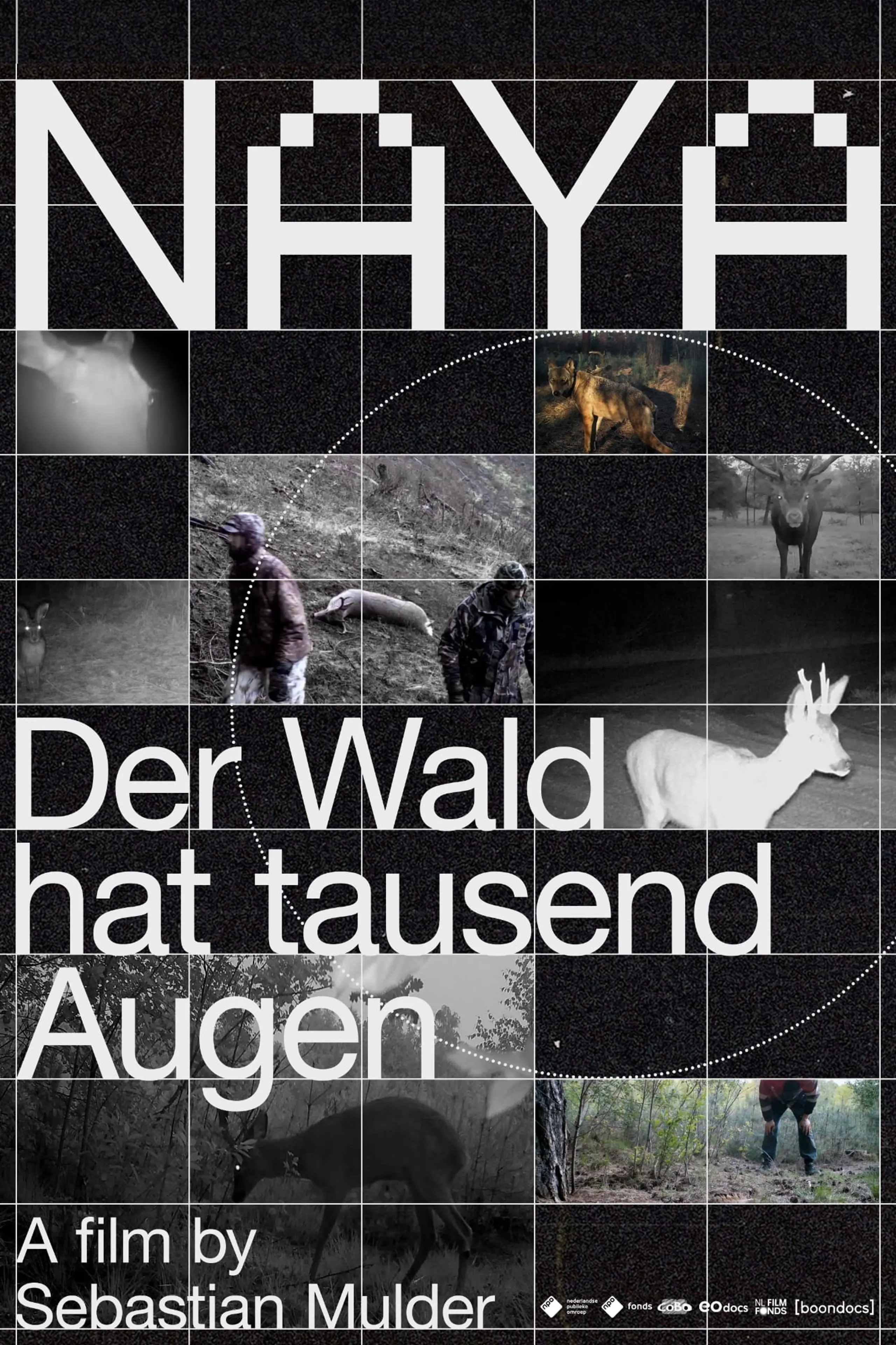 Naya – Der Wald hat tausend Augen