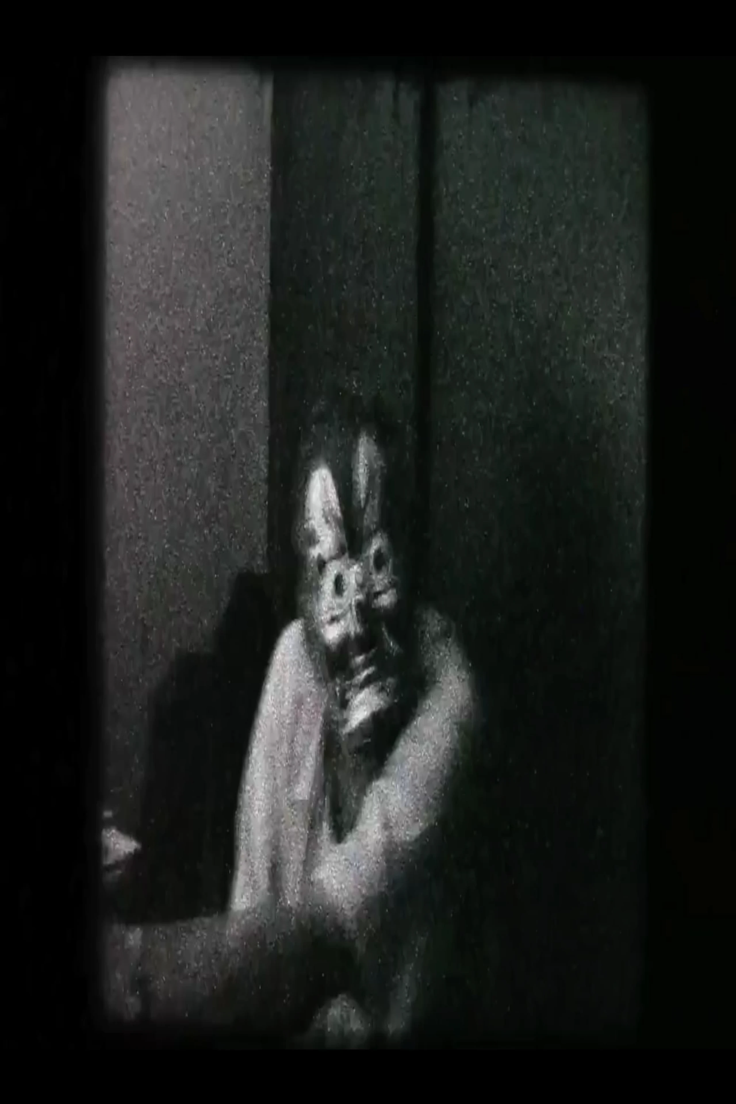 O cinema segundo Luiz Rô
