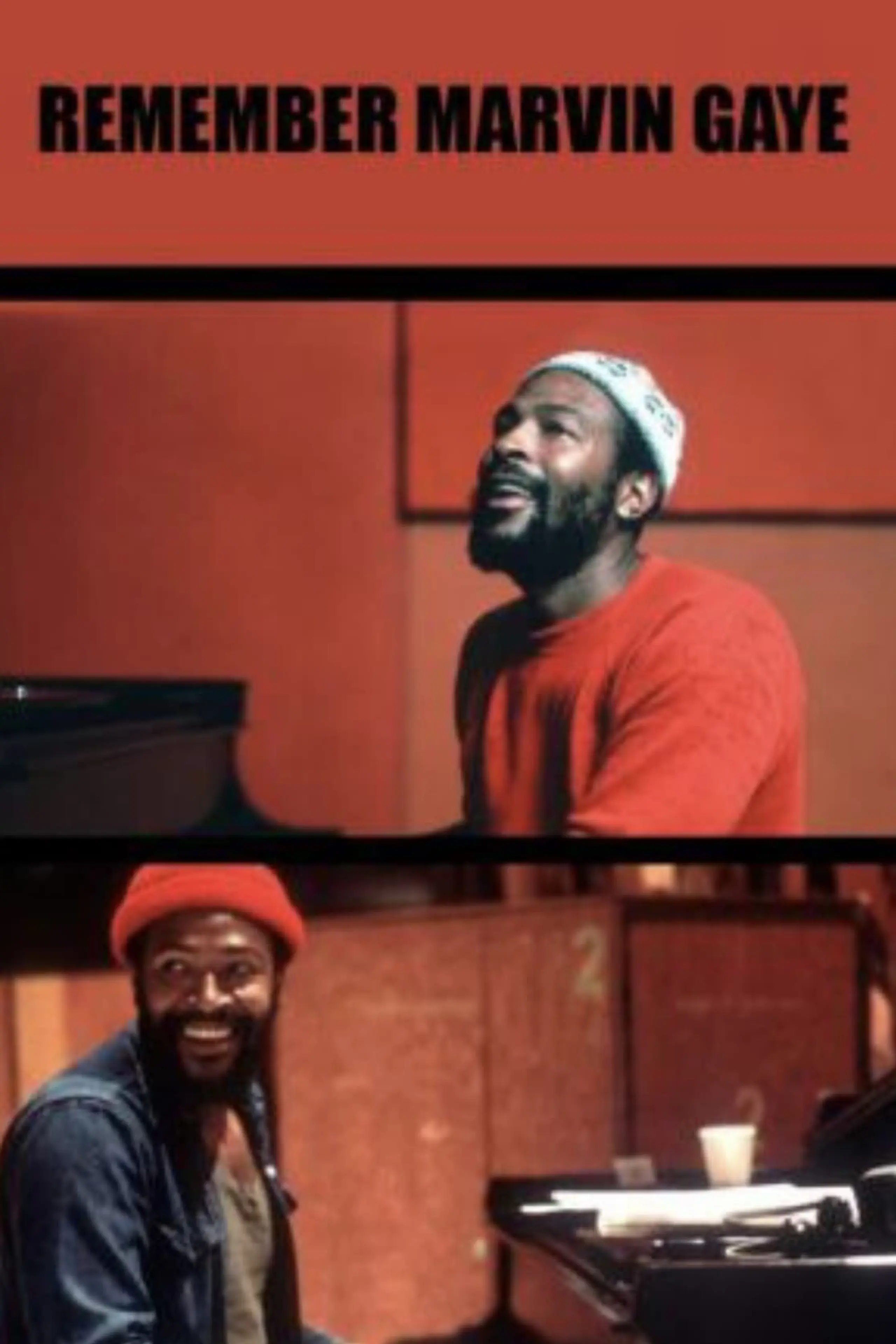 Remember Marvin Gaye