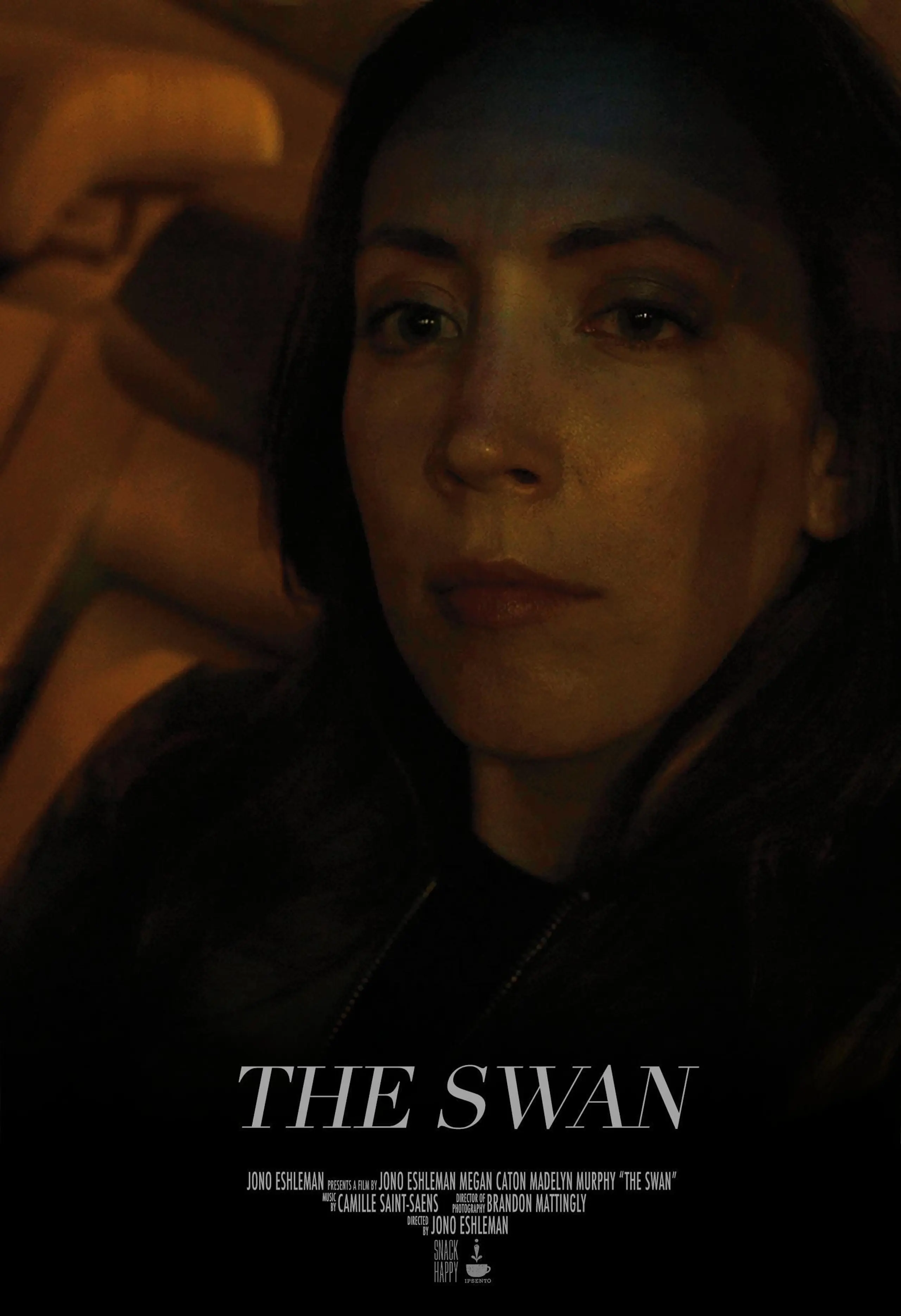 The Swan