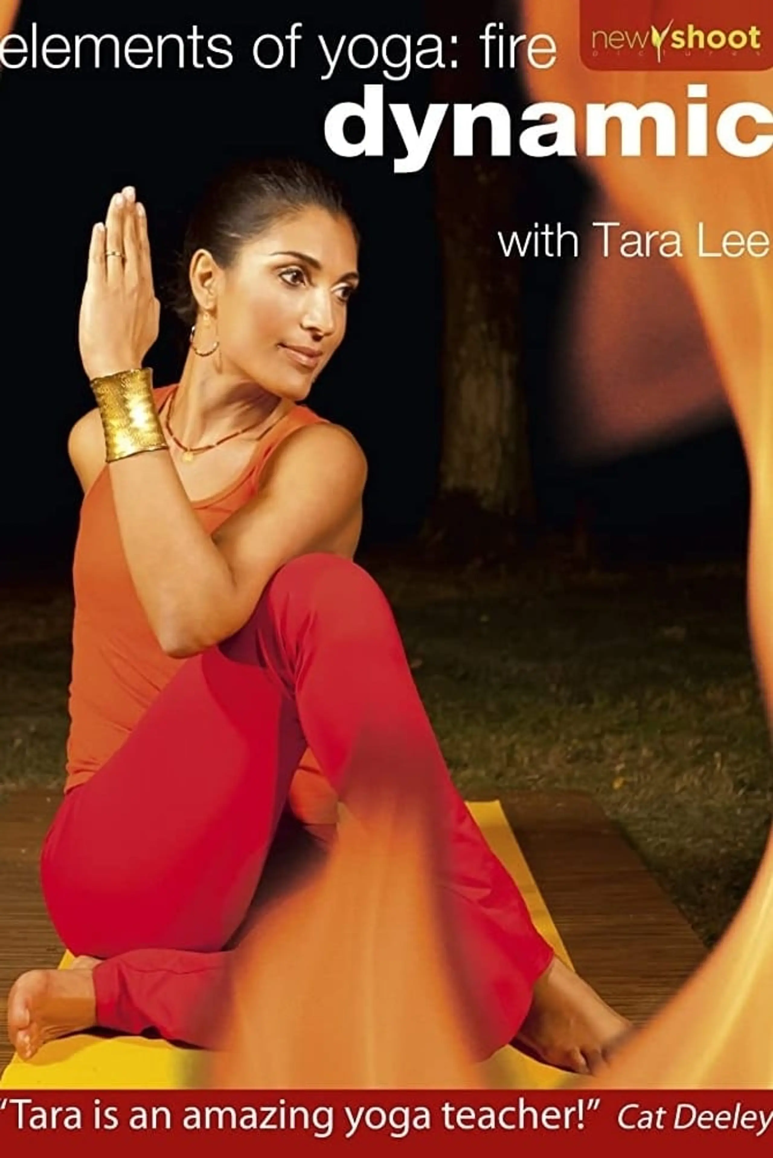 elements of yoga: fire (dynamic) with Tara Lee - core