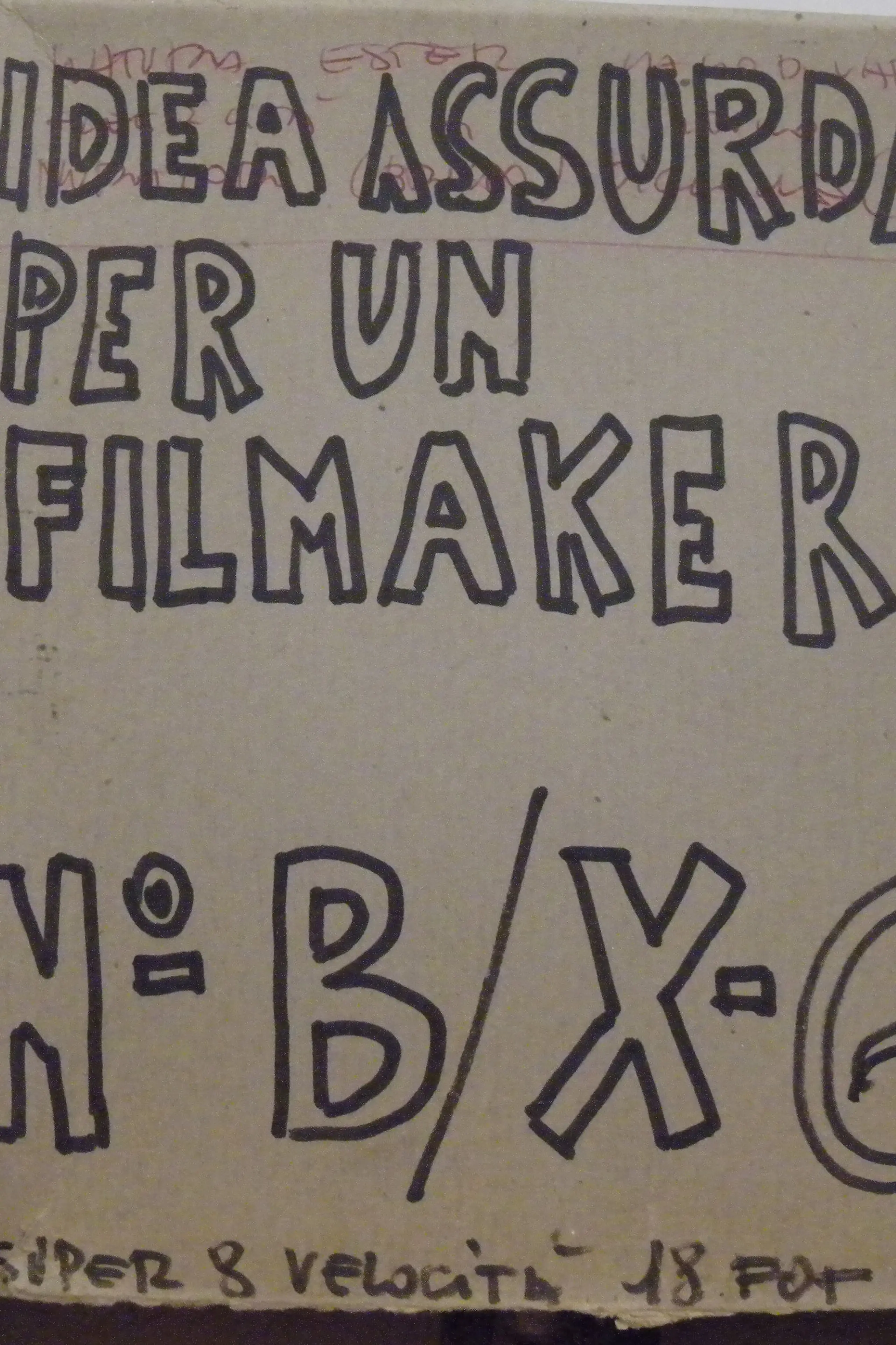 Idea assurda per un filmaker - Ester