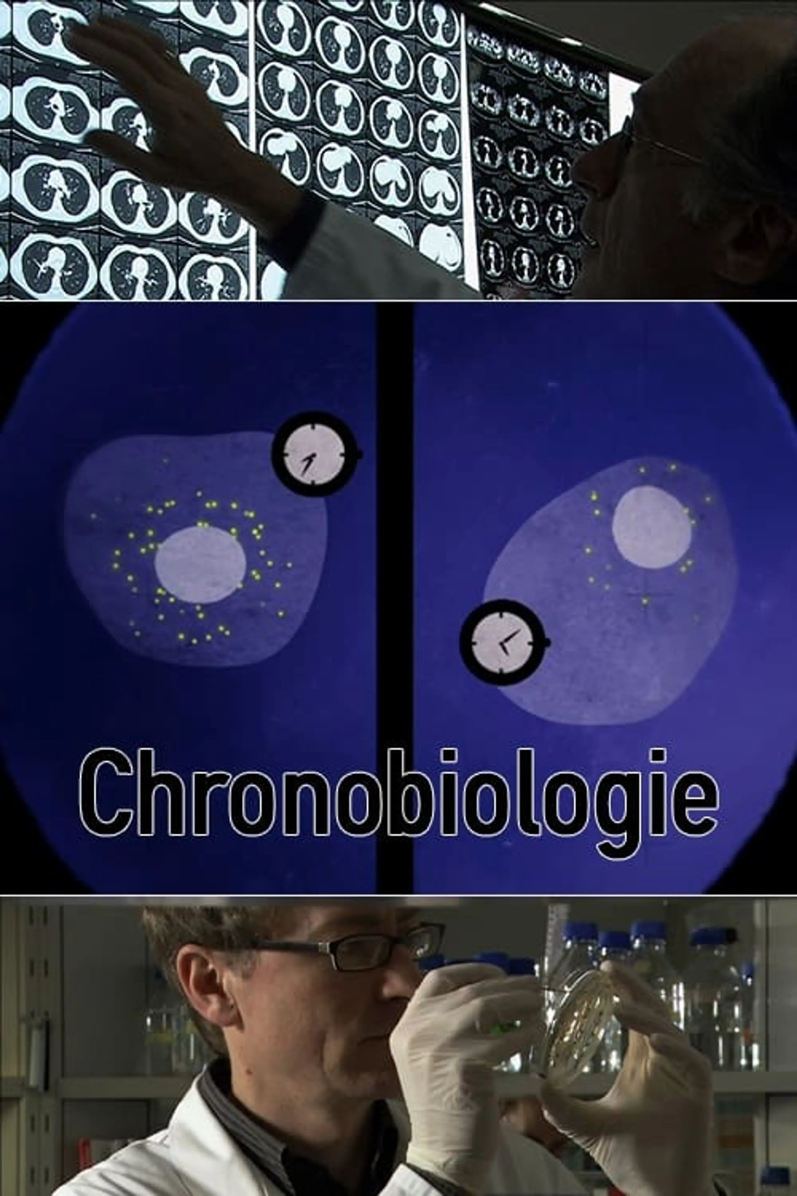 Chronobiologie