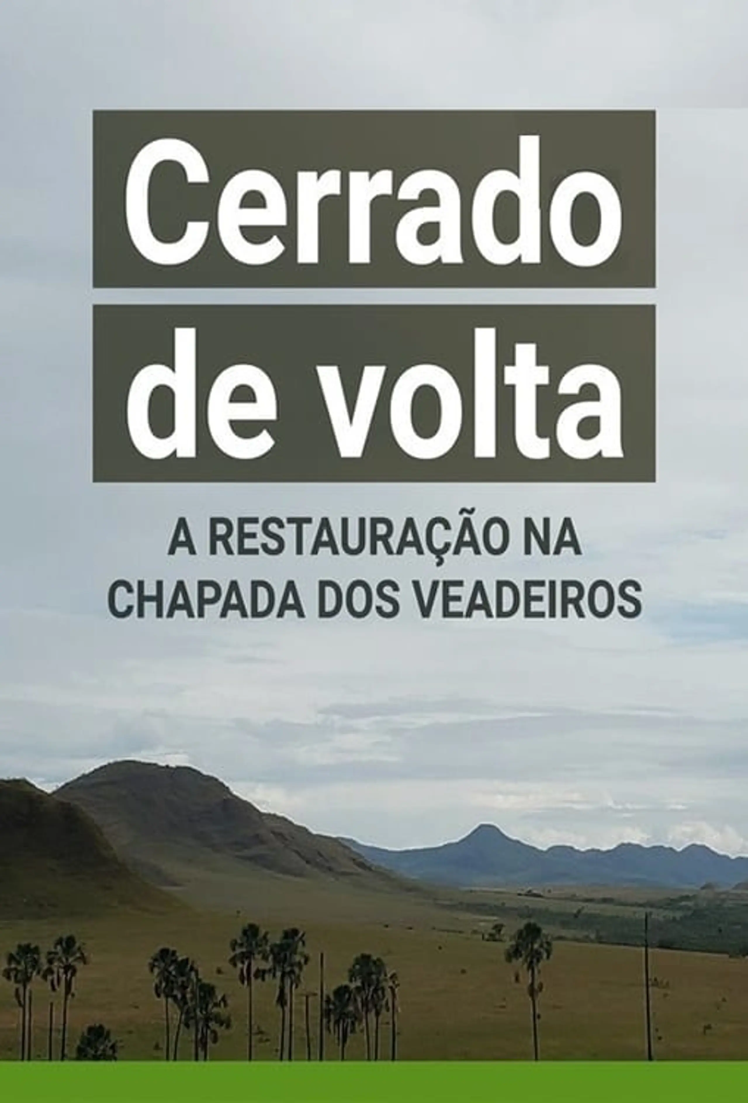 Cerrado de Volta: A Restauração na Chapada dos Veadeiros