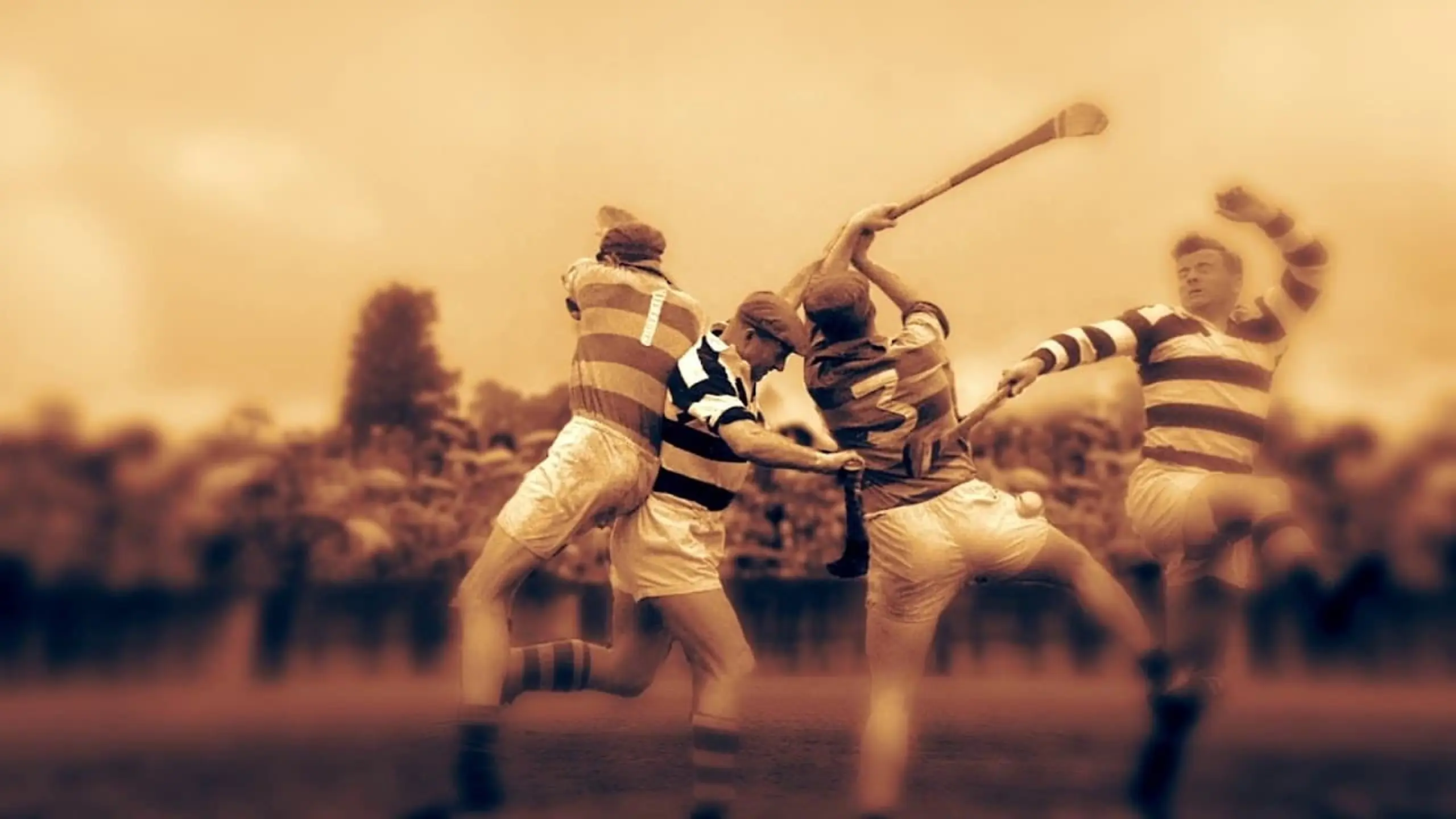 Christy Ring - Man & Ball