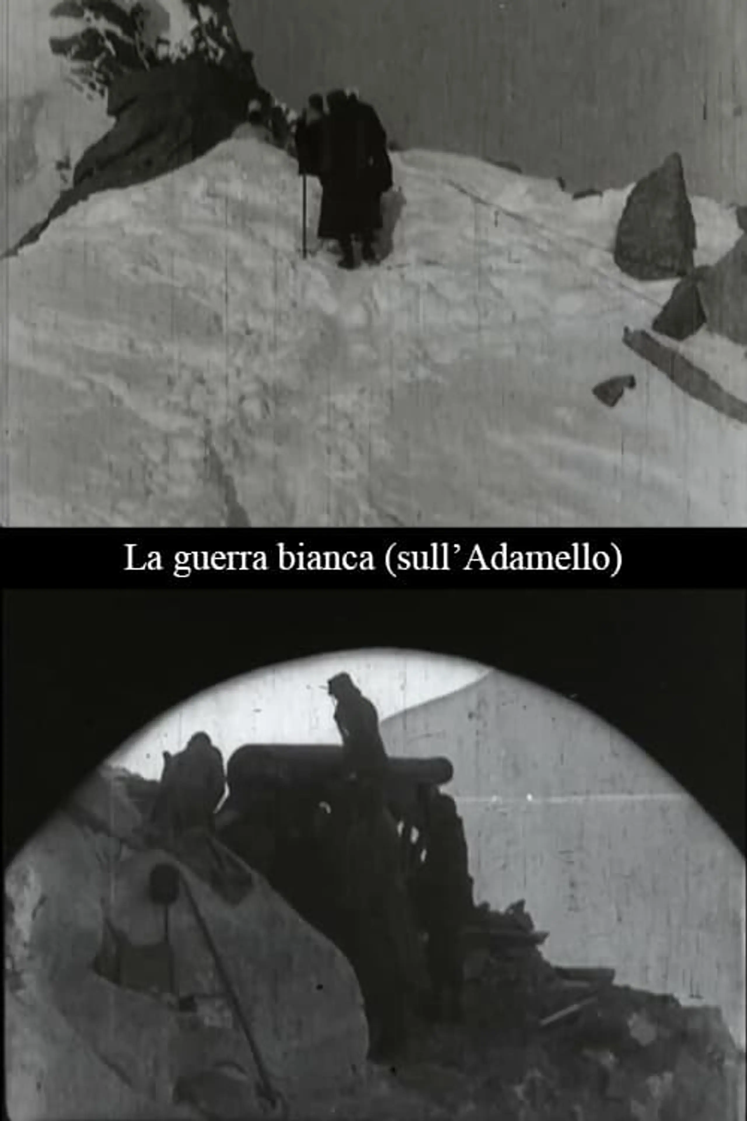 La guerra bianca (sull'Adamello)