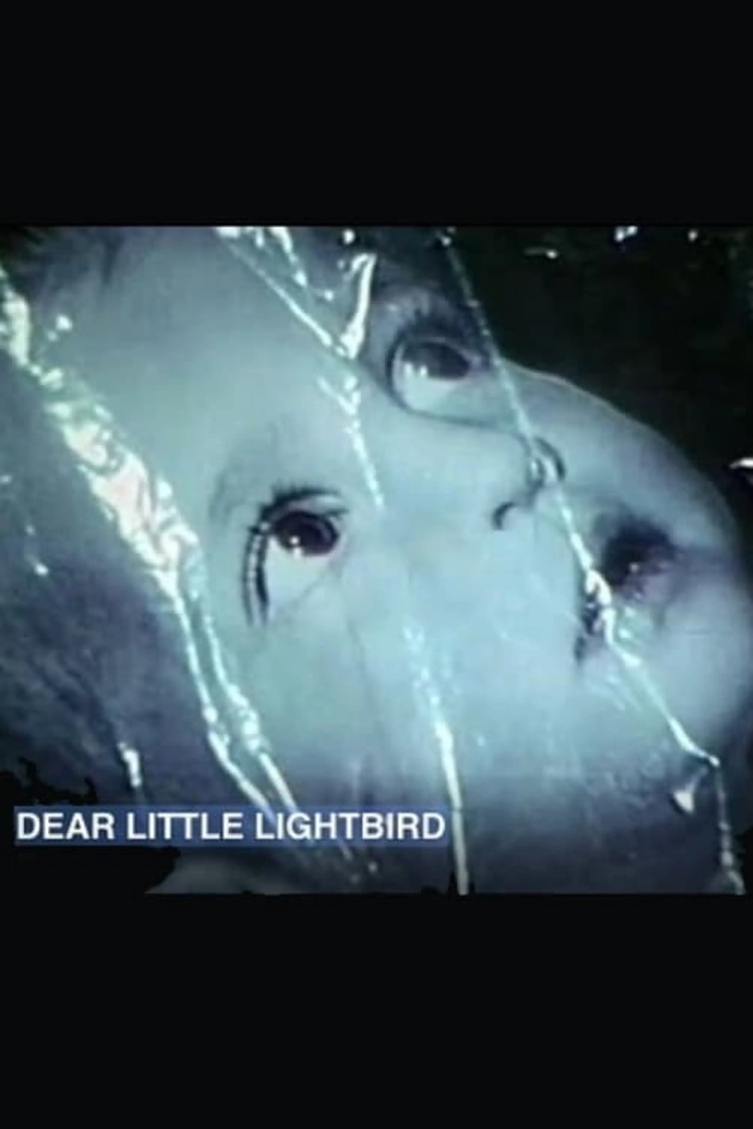 Dear Little Lightbird