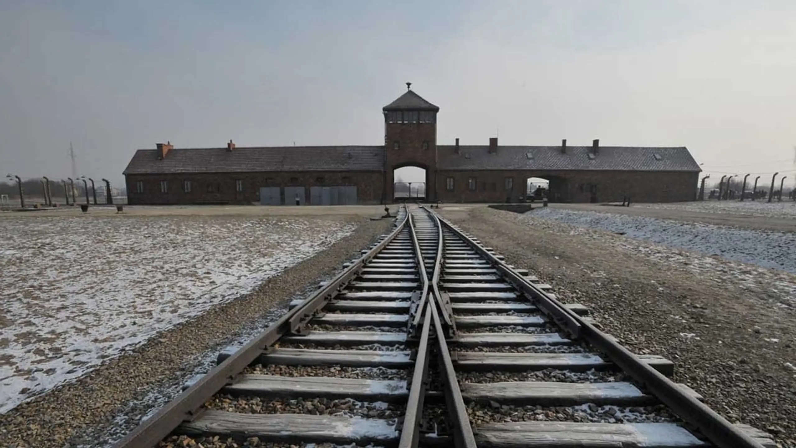 Születési helye: Auschwitz