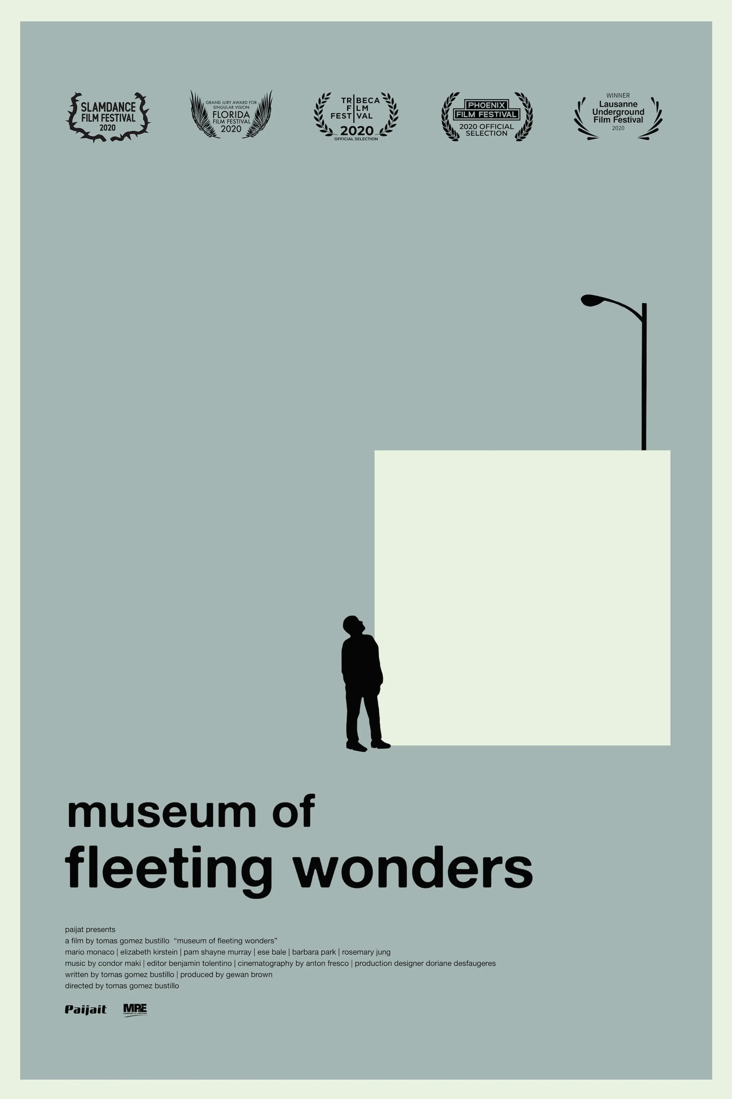 Museum of Fleeting Wonders