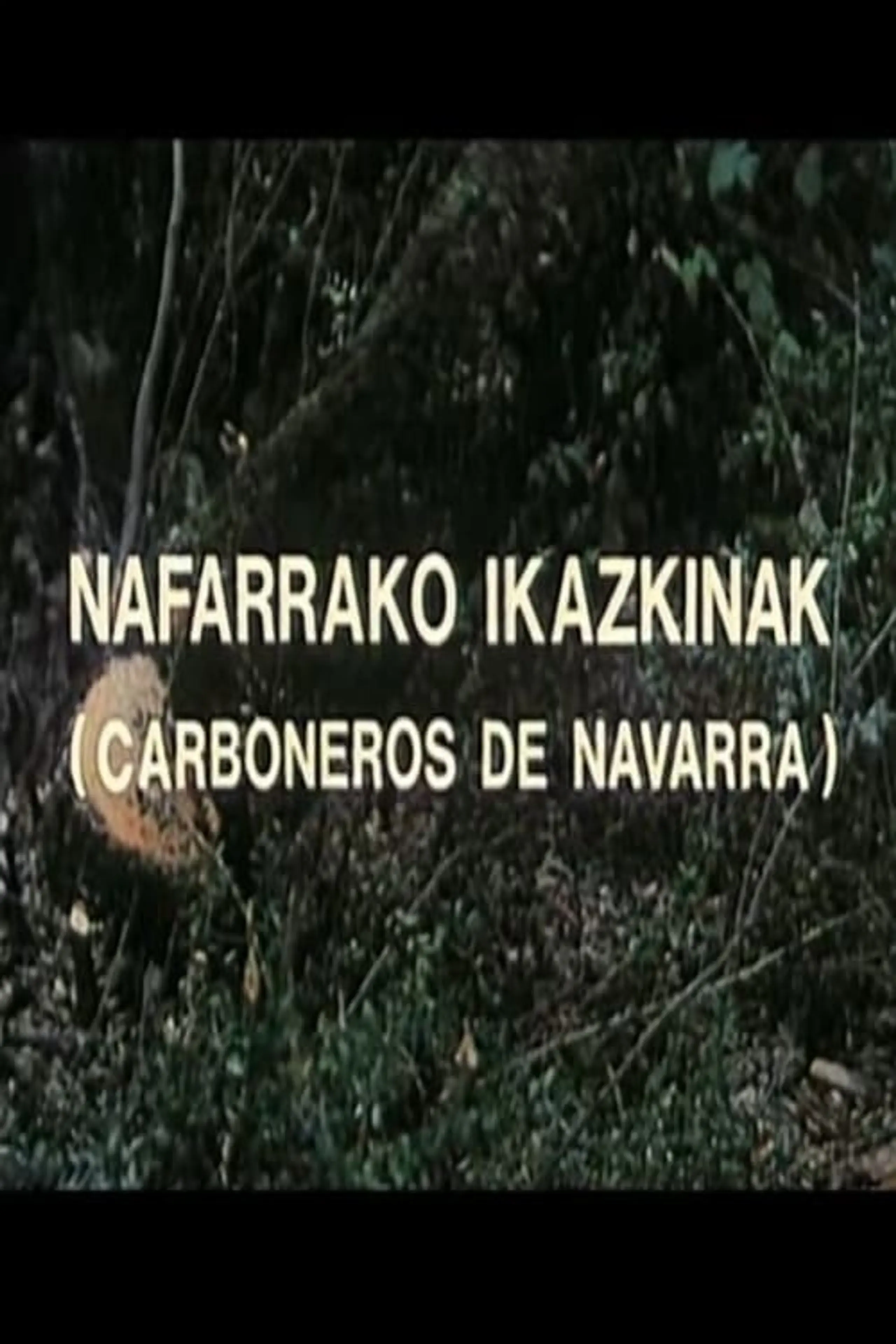 Nafarroako ikazkinak