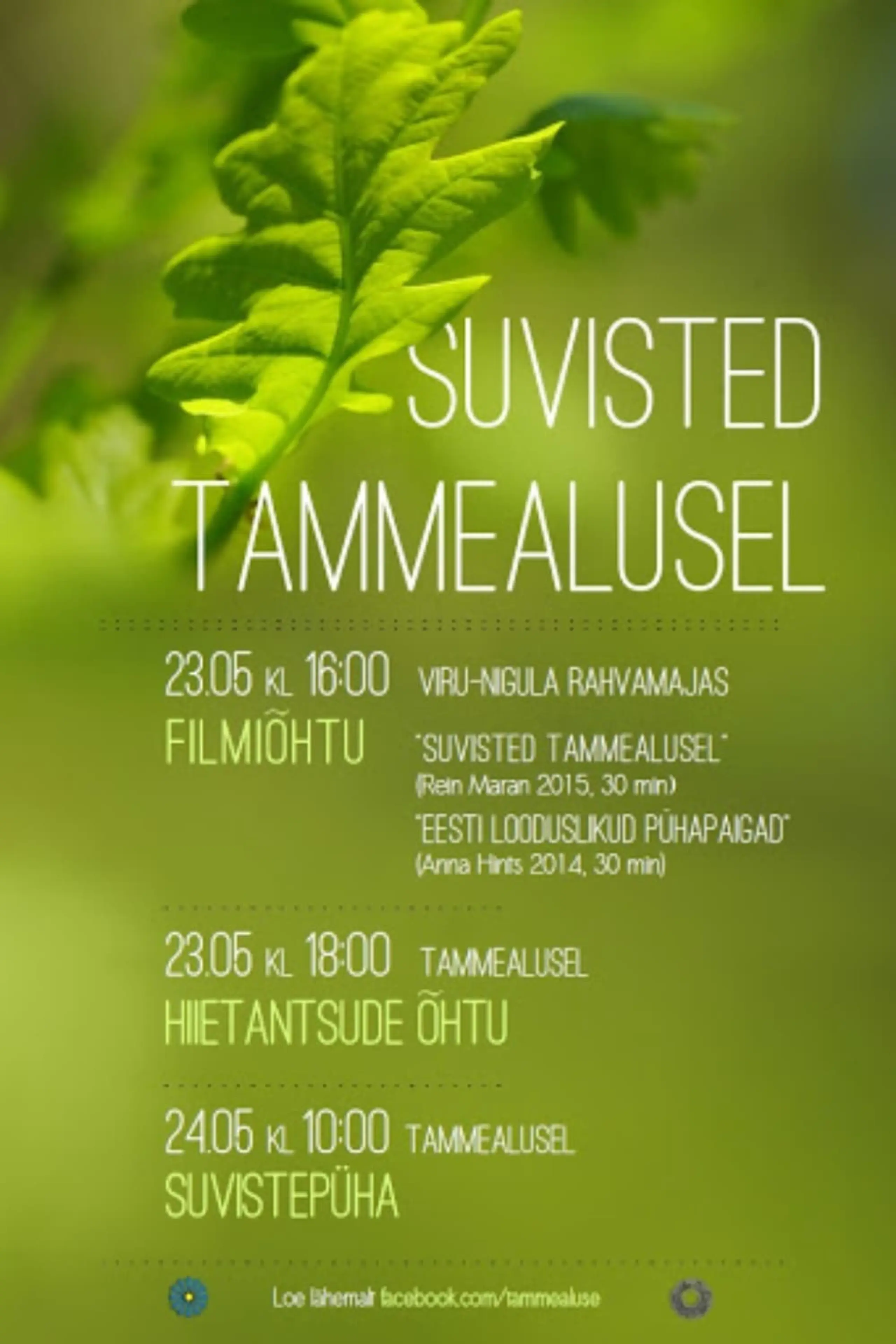 Suvisted Tammealusel