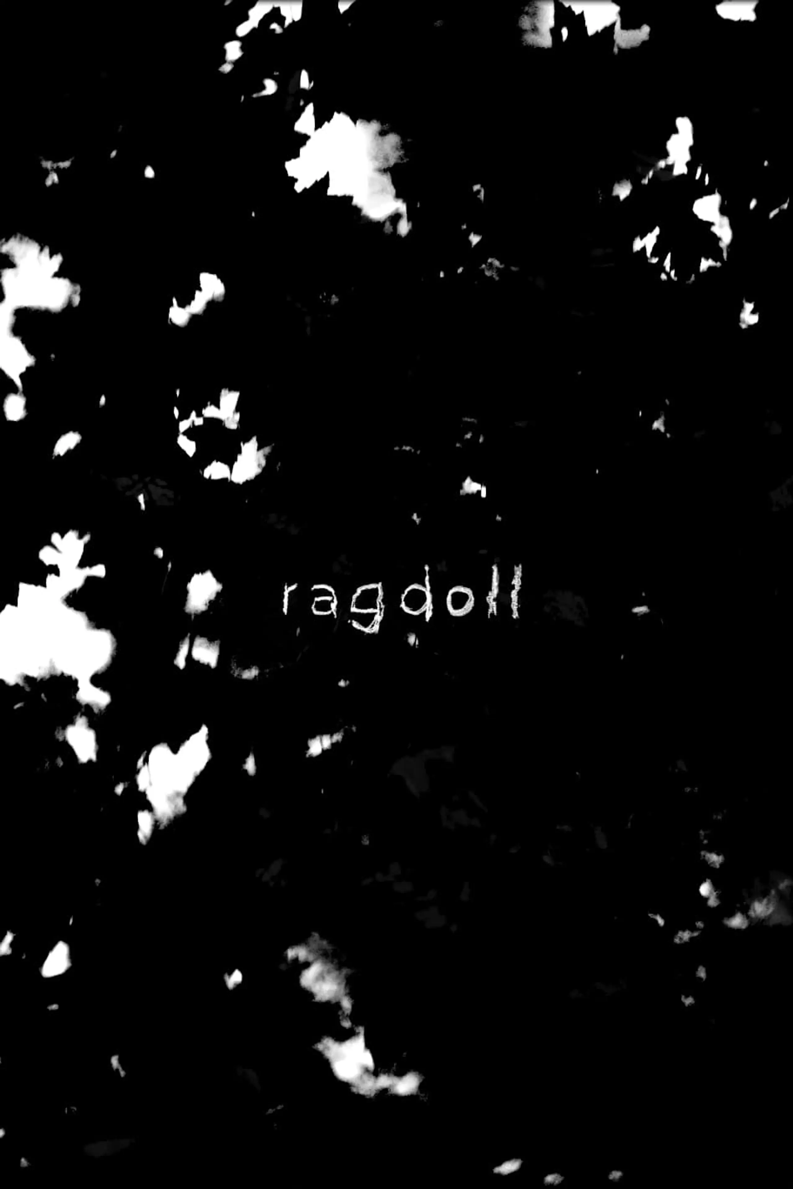 ragdoll