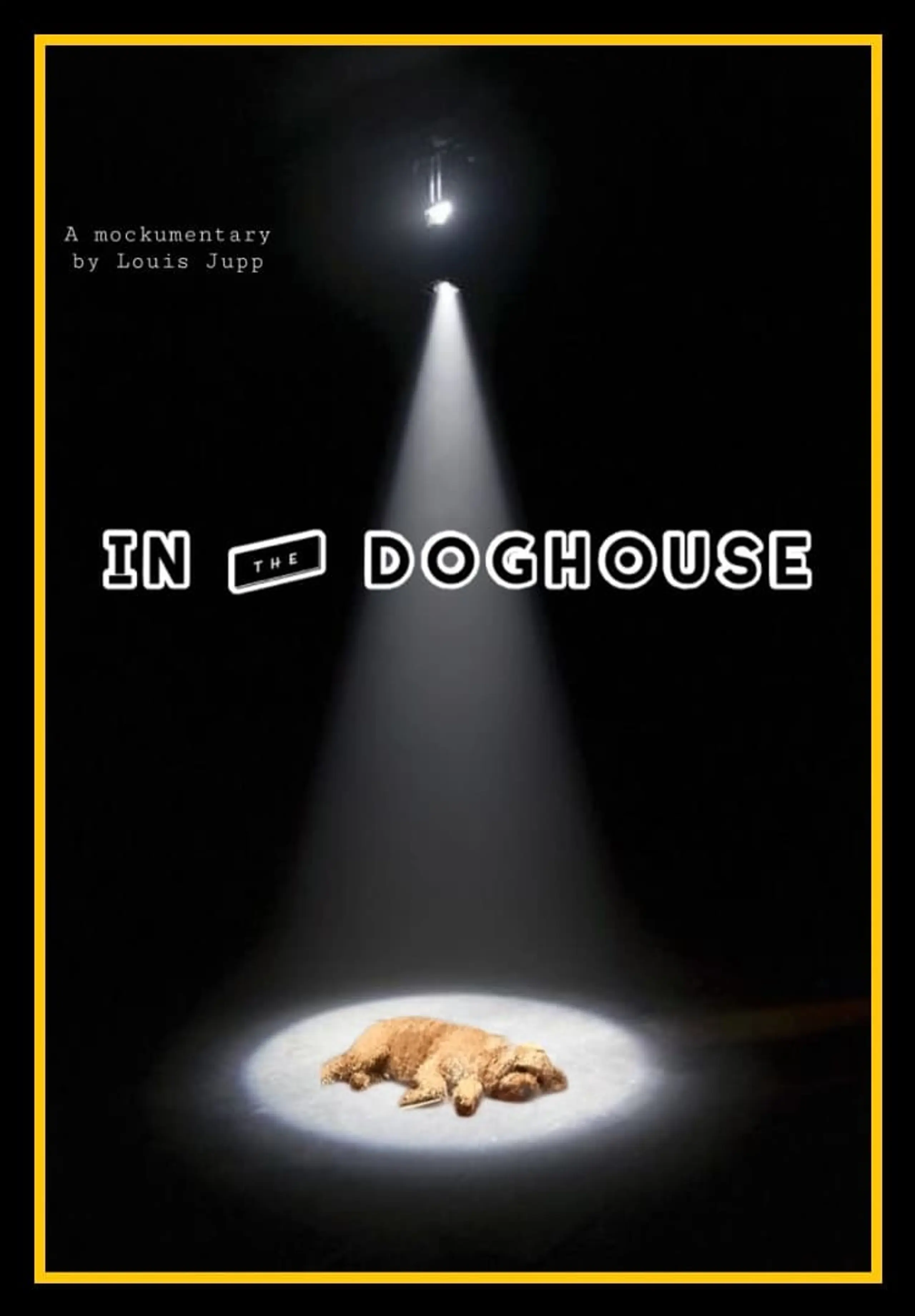 In The Doghouse