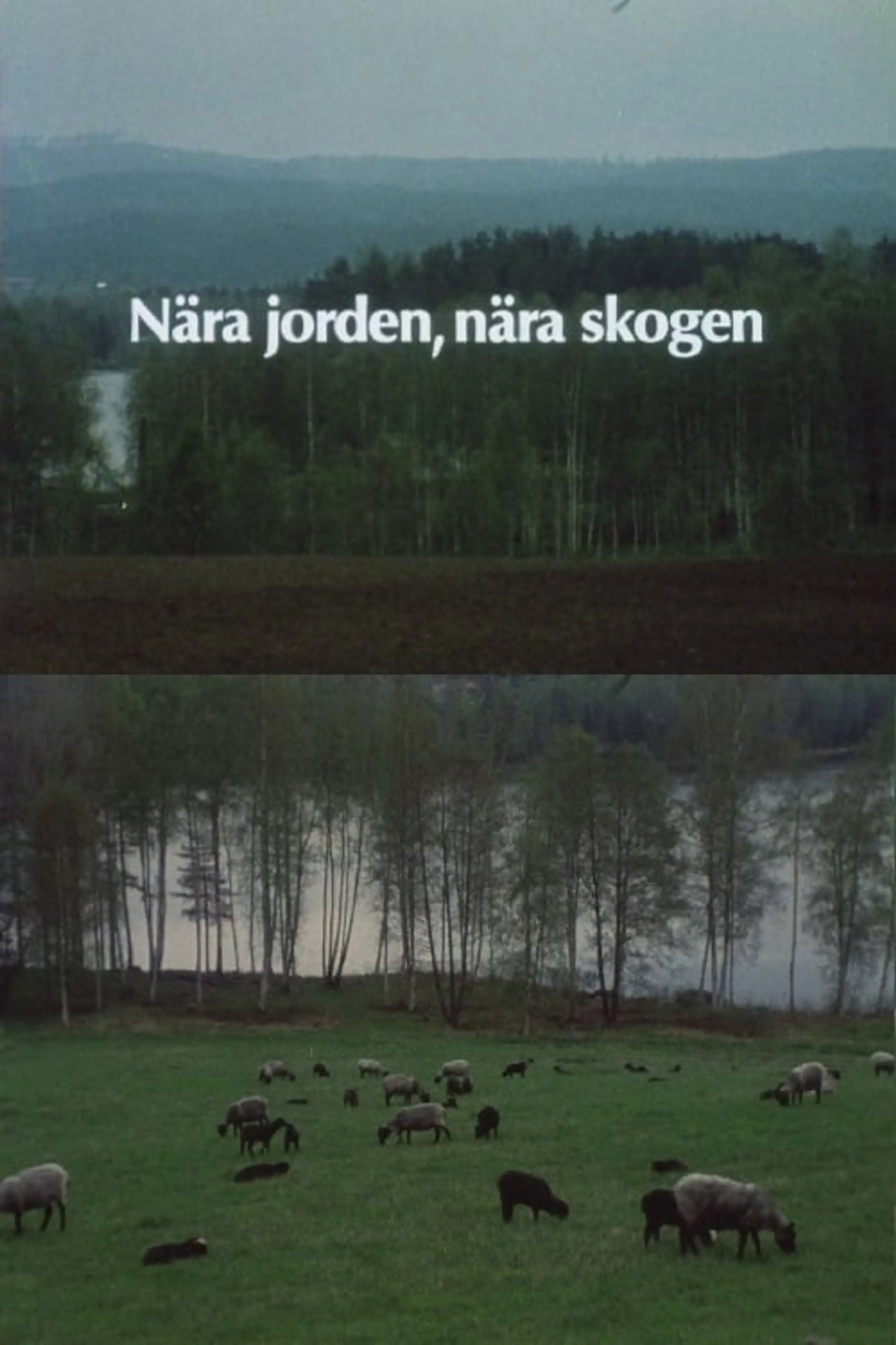 Nära jorden, nära skogen