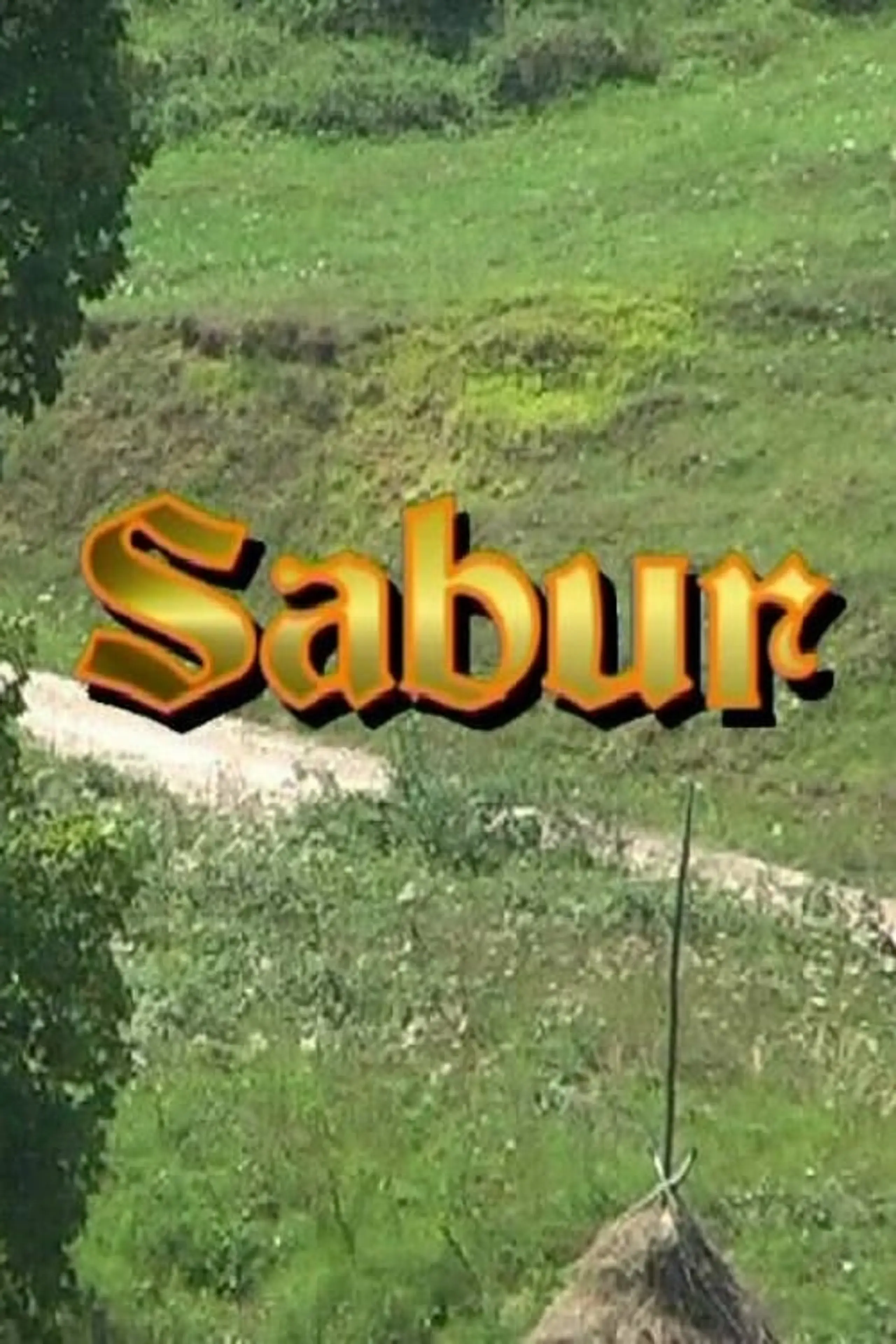 Sabur