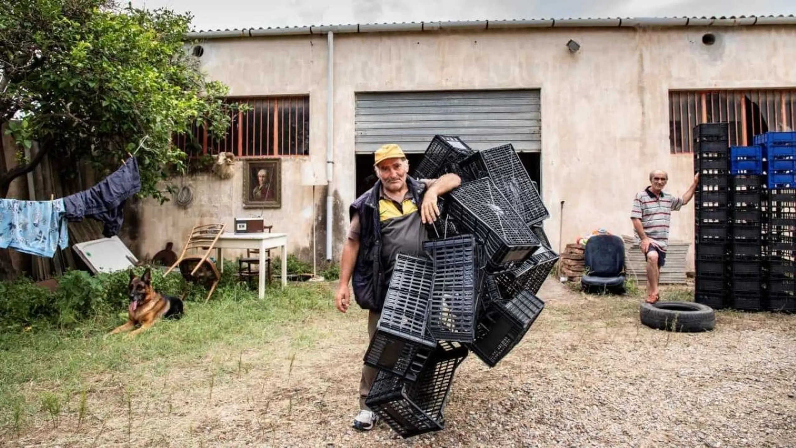 L'uomo del mercato