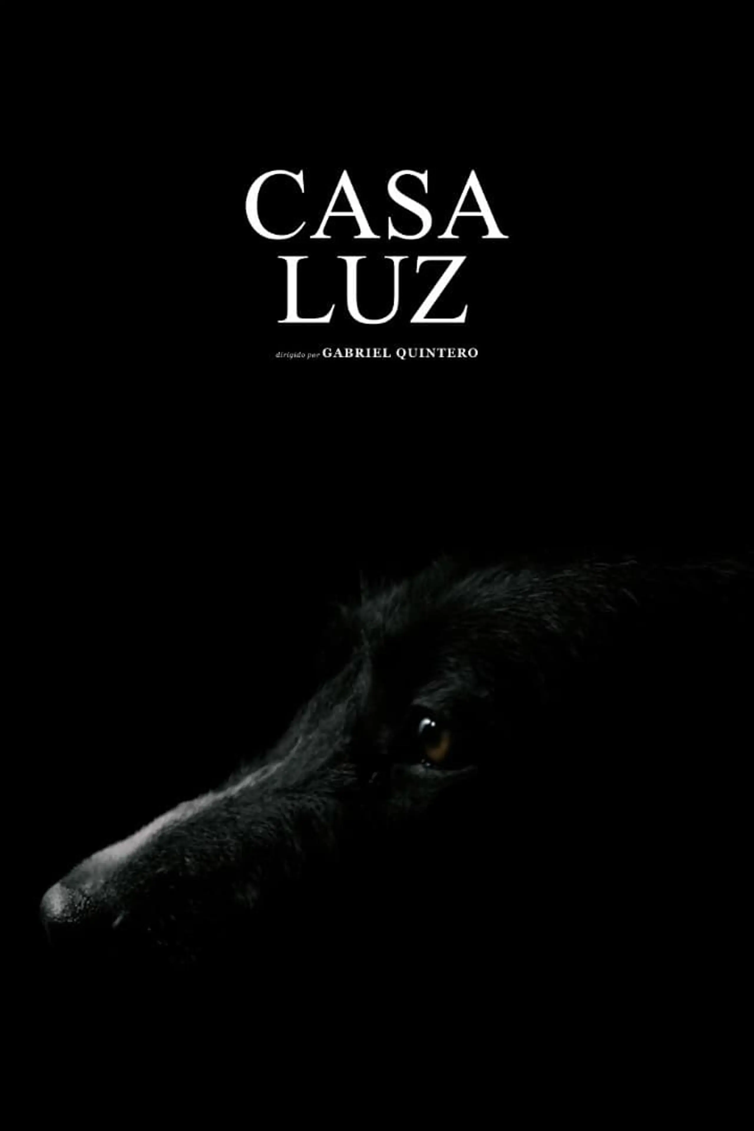 Casa Luz