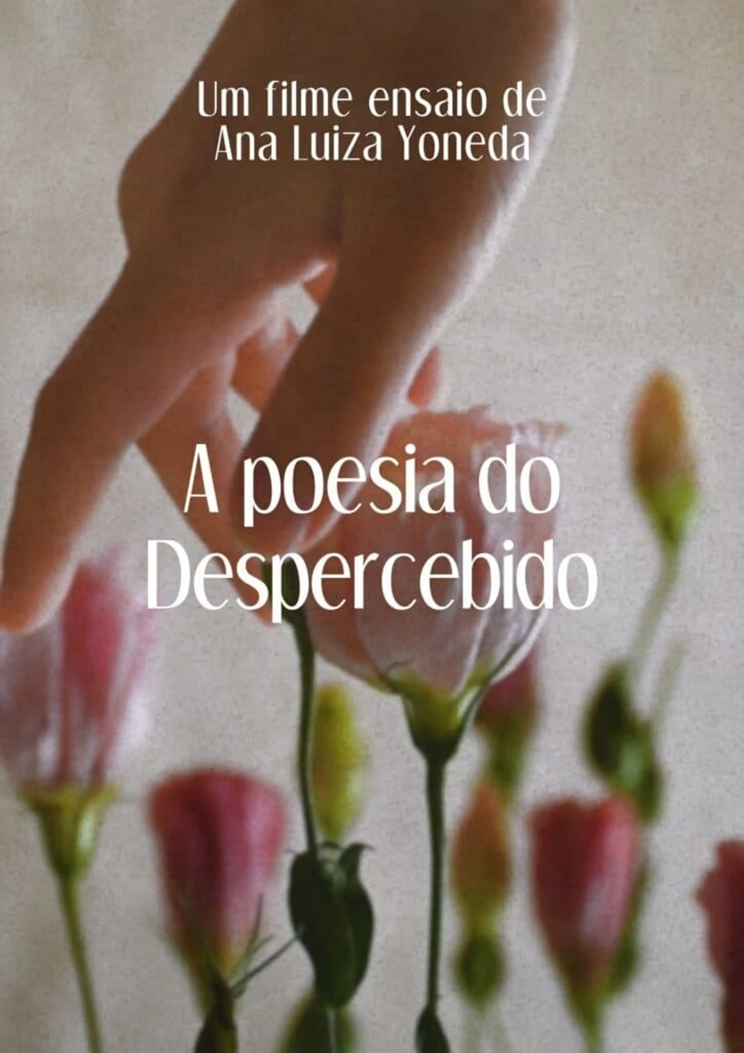 A Poesia Do Despercebido