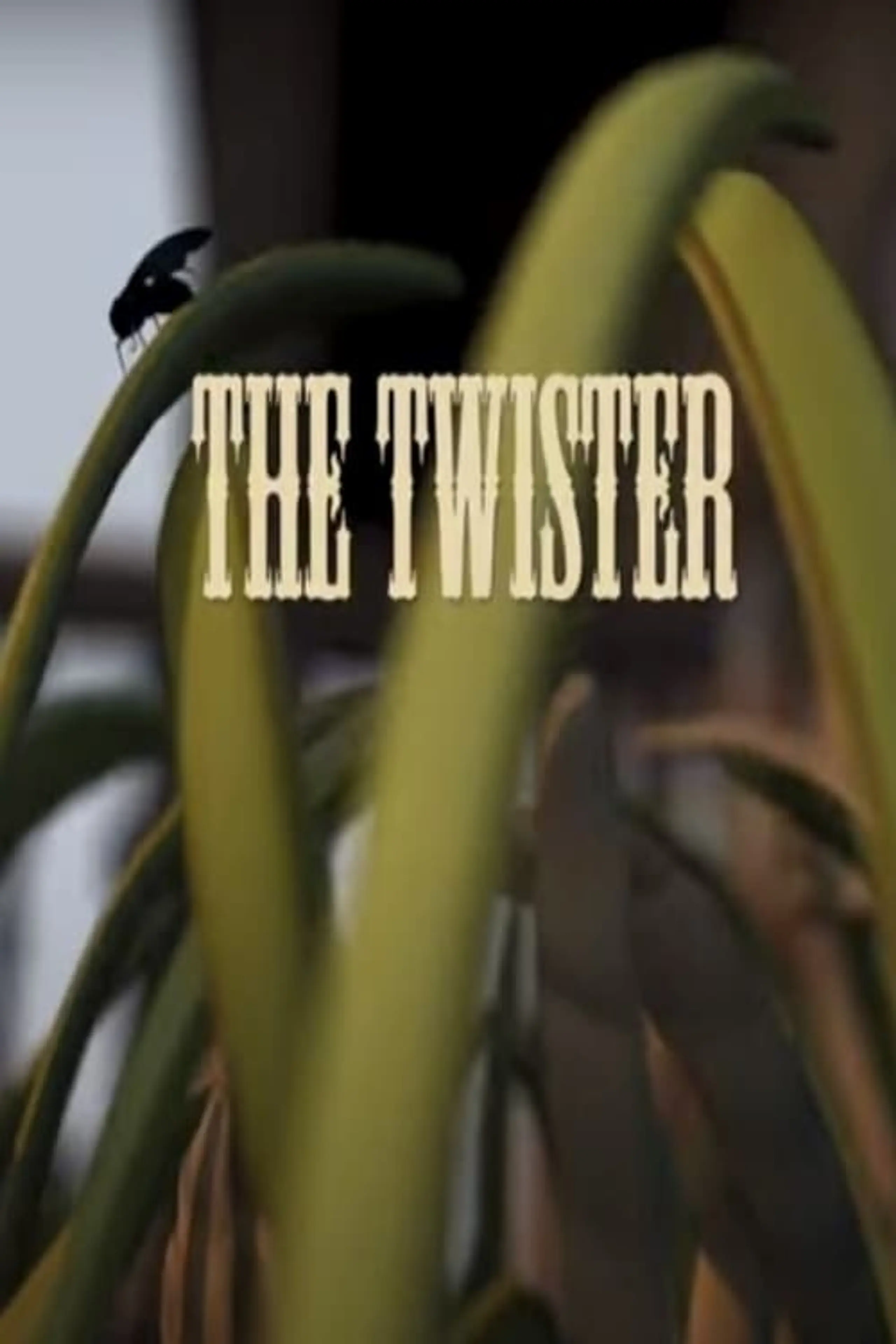 The Twister