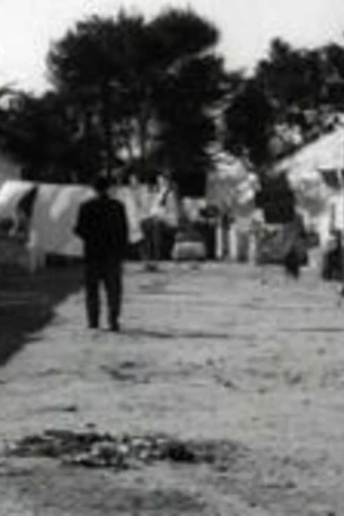Brindisi '65