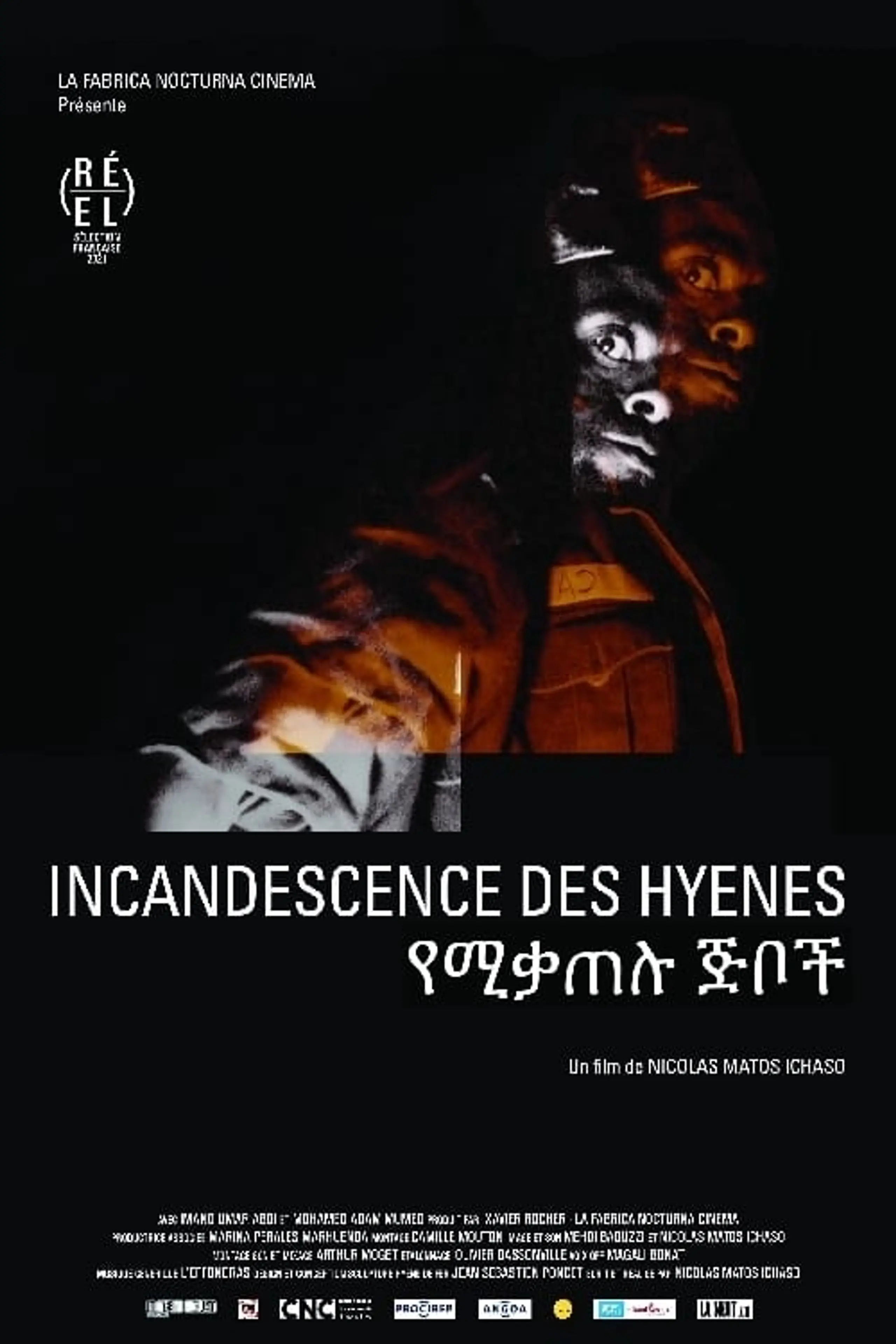 Incandescence des hyènes