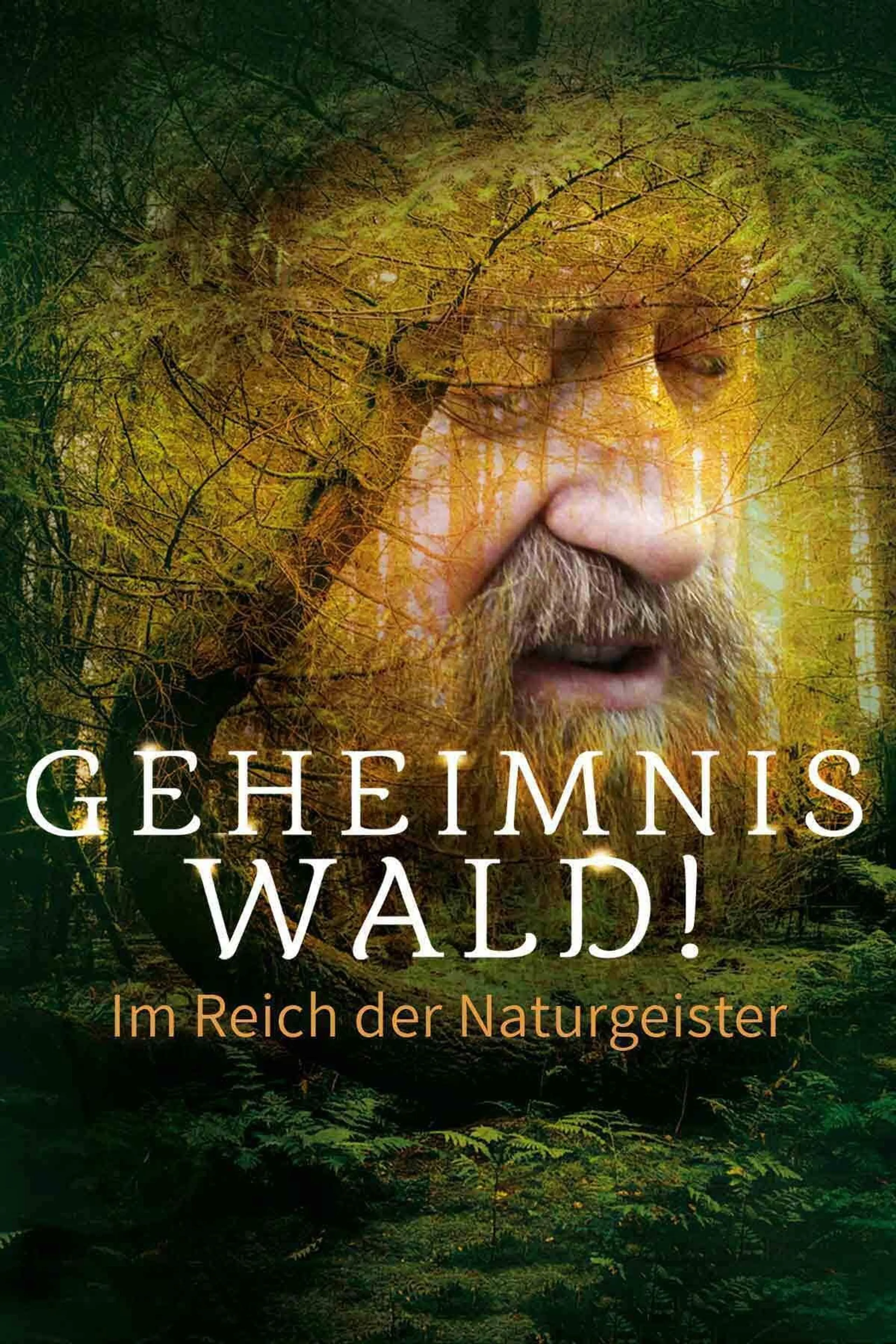 Geheimnis Wald! – Im Reich der Naturgeister