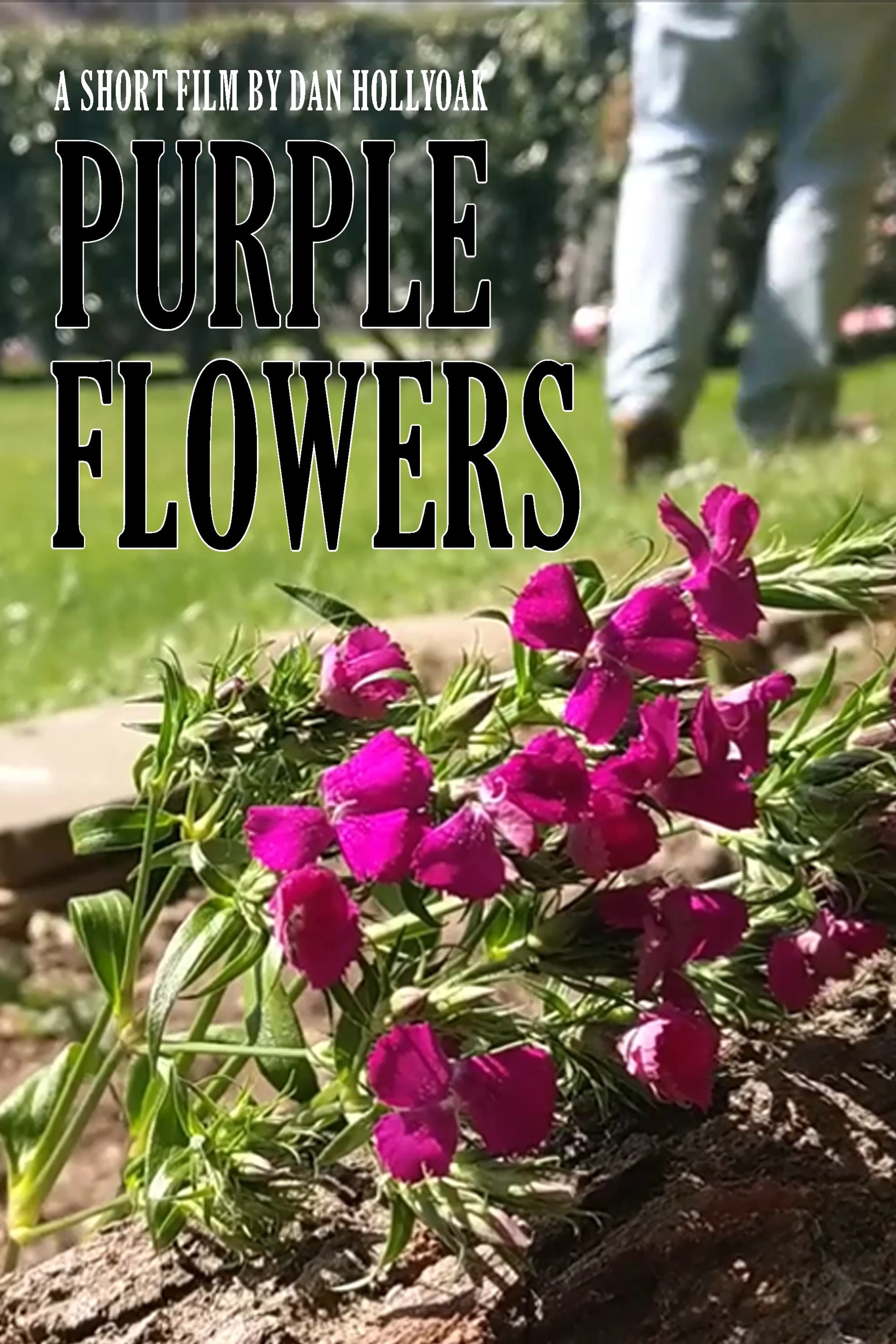 Purple Flowers
