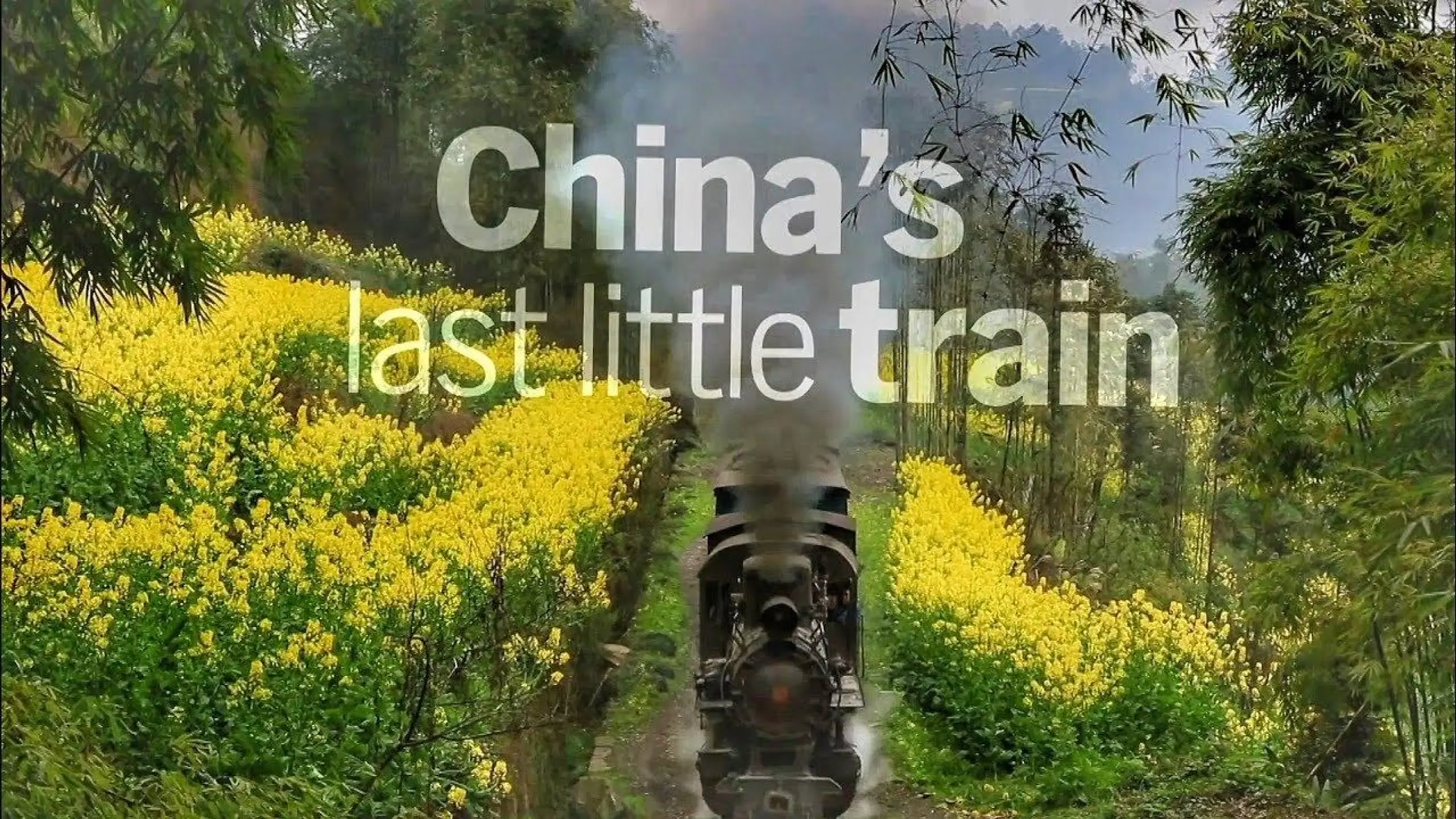 China's Last Little Train