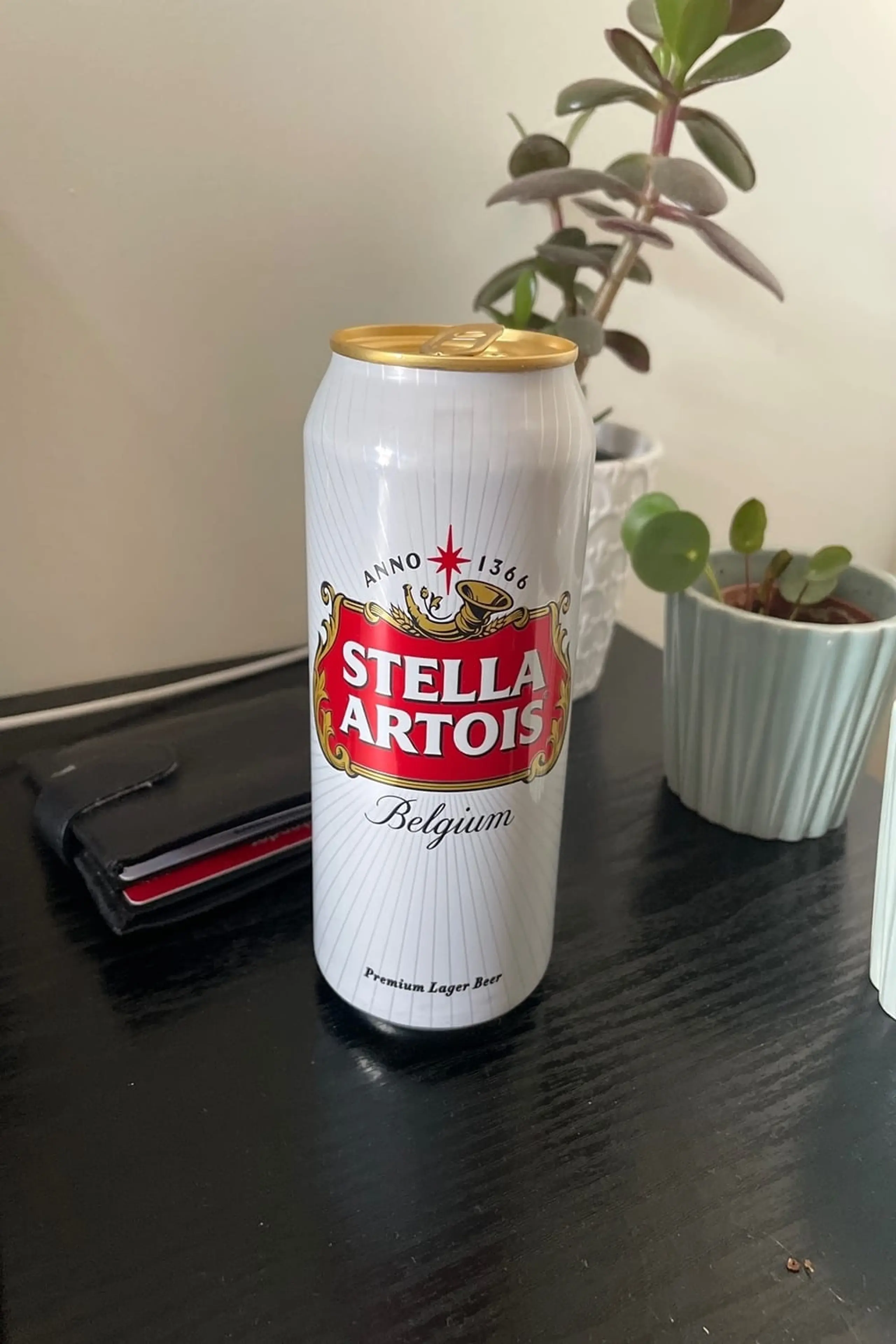 Foto von Stella Artois