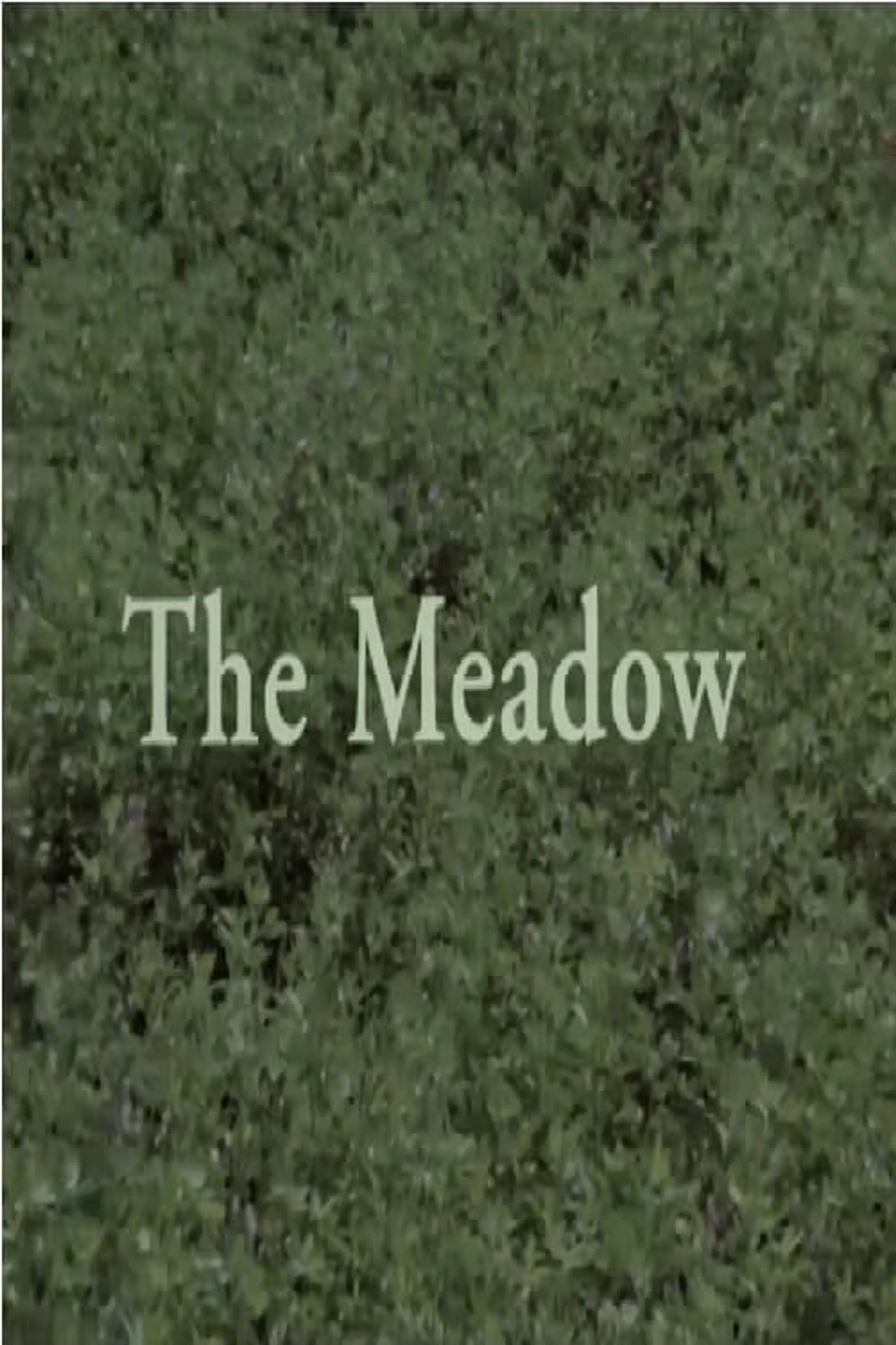 The Meadow