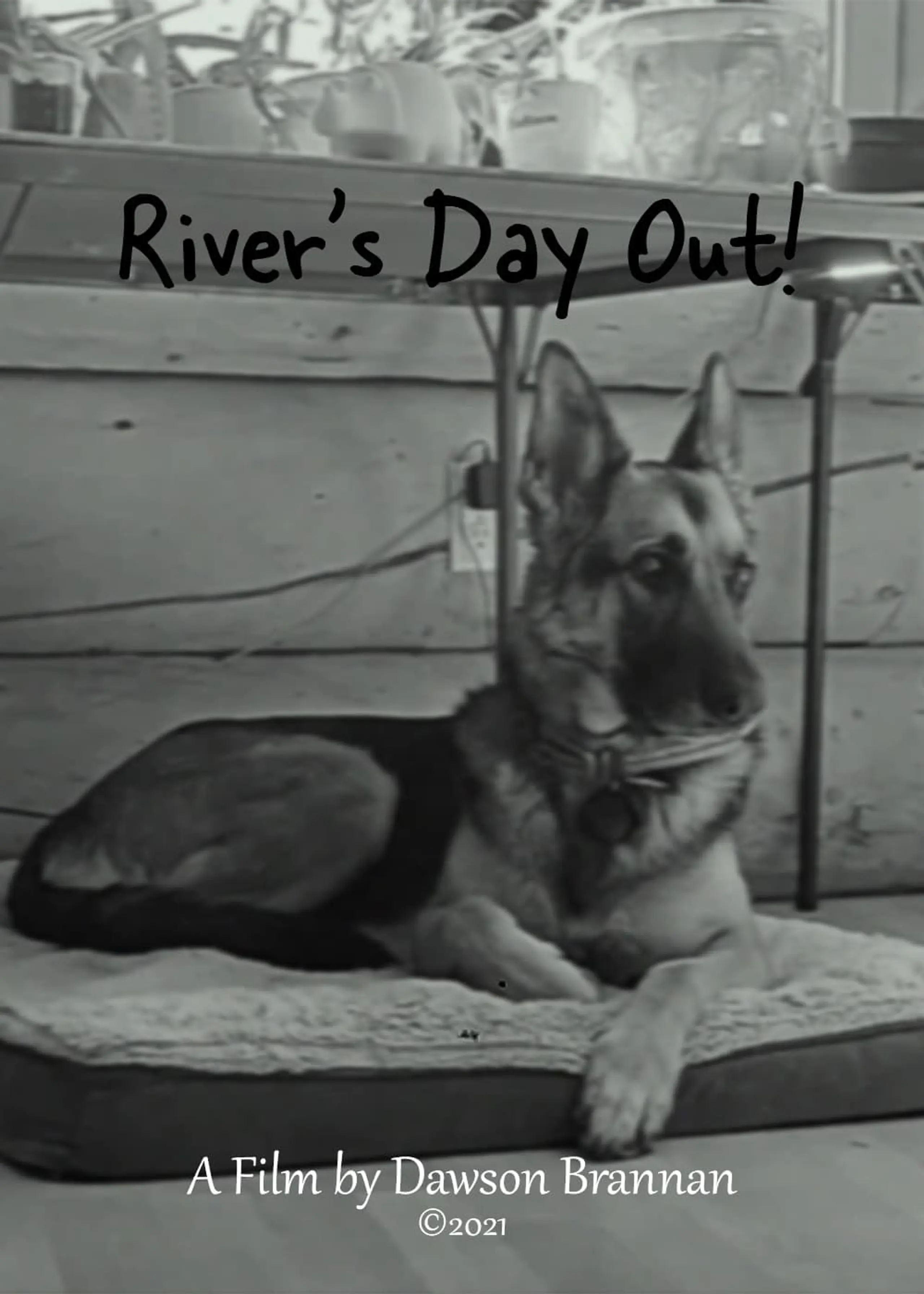 River's Day Out!