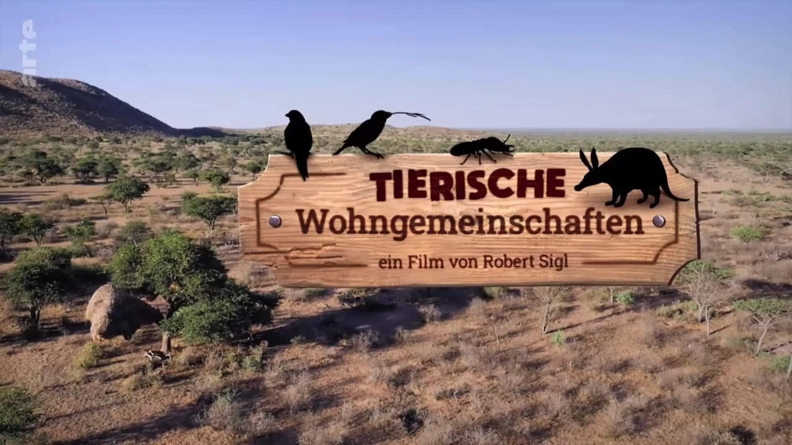 Tierische Wohngemeinschaften