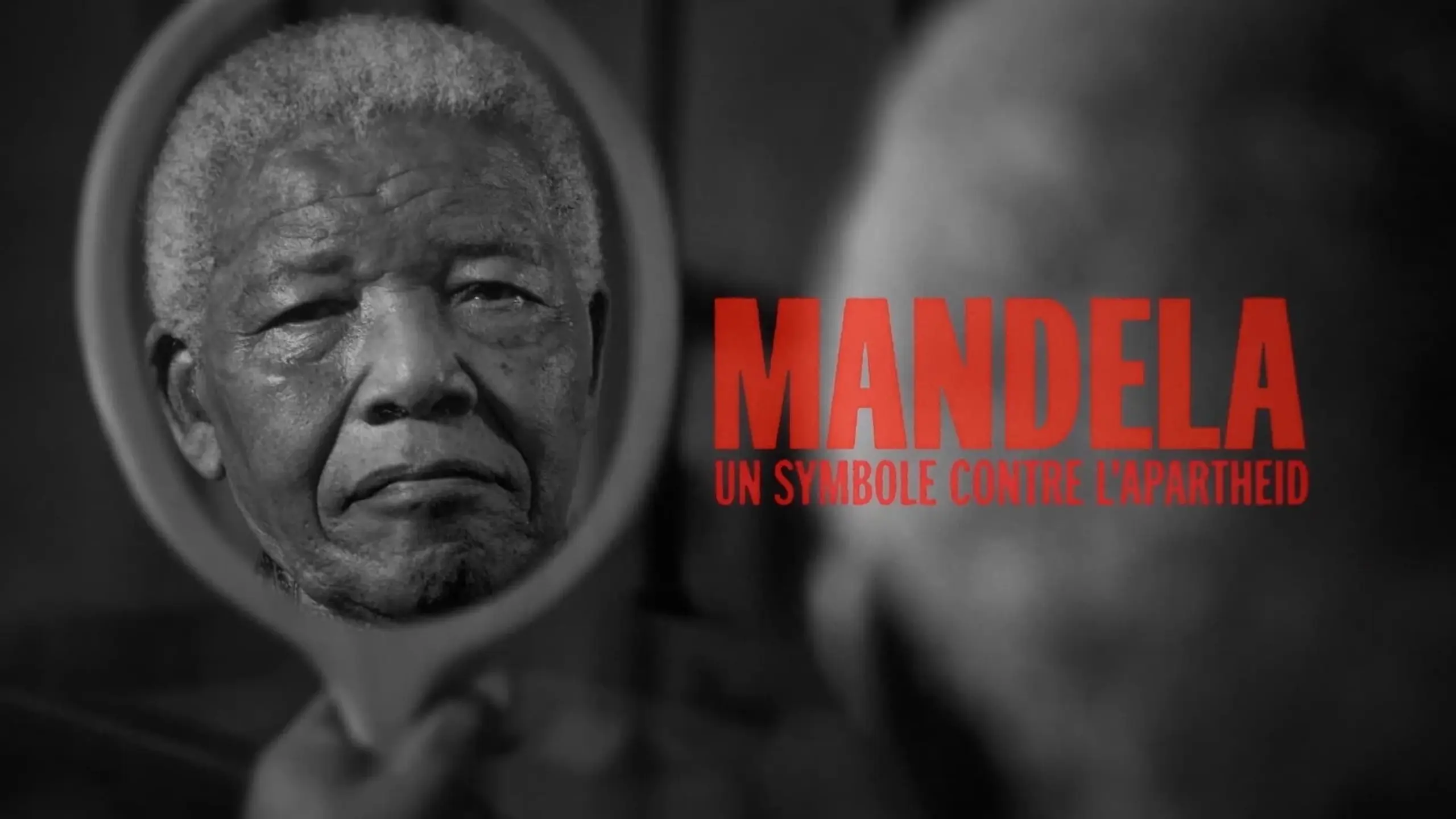 Mandela, un symbole contre l'apartheid