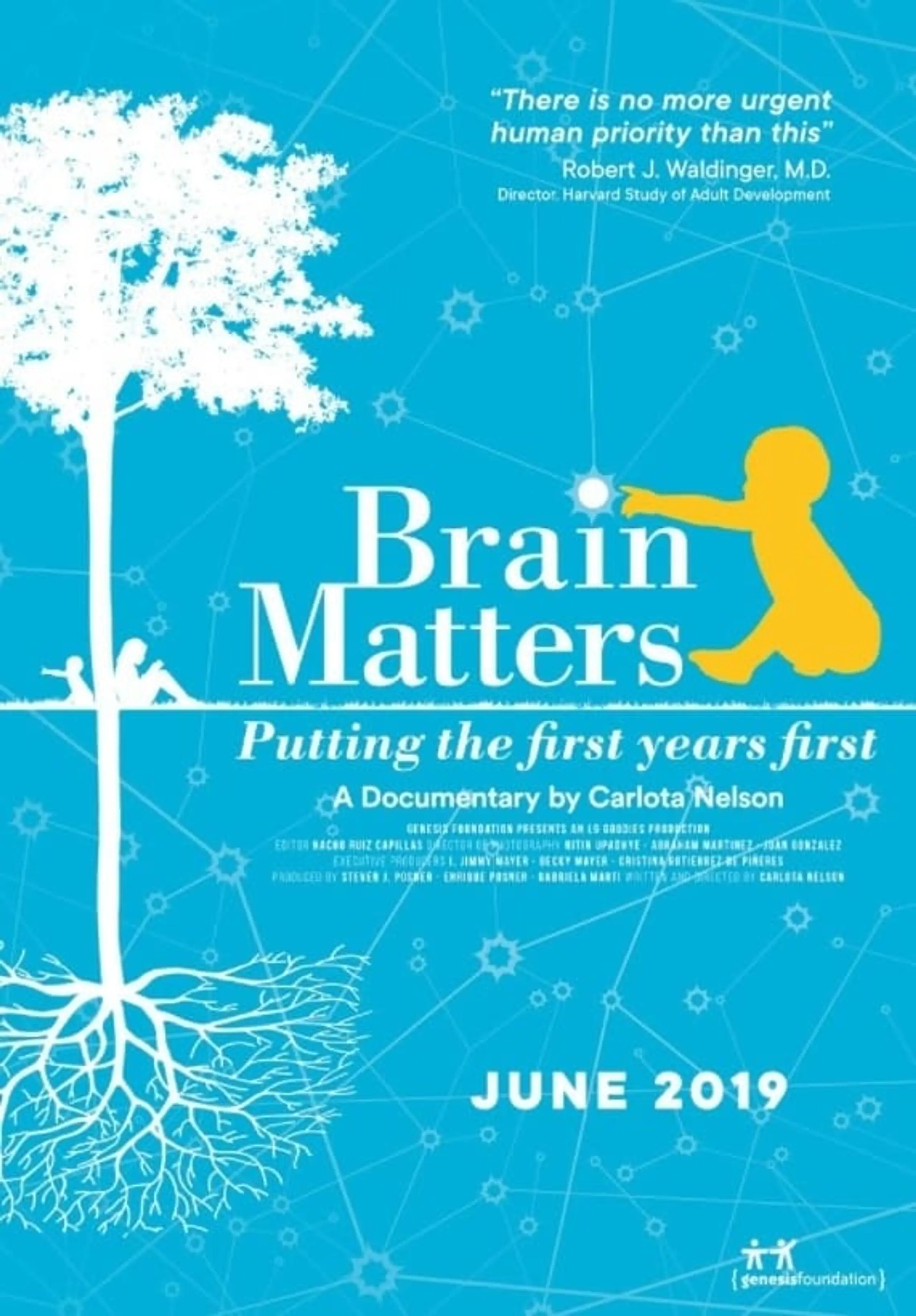 Brain Matters