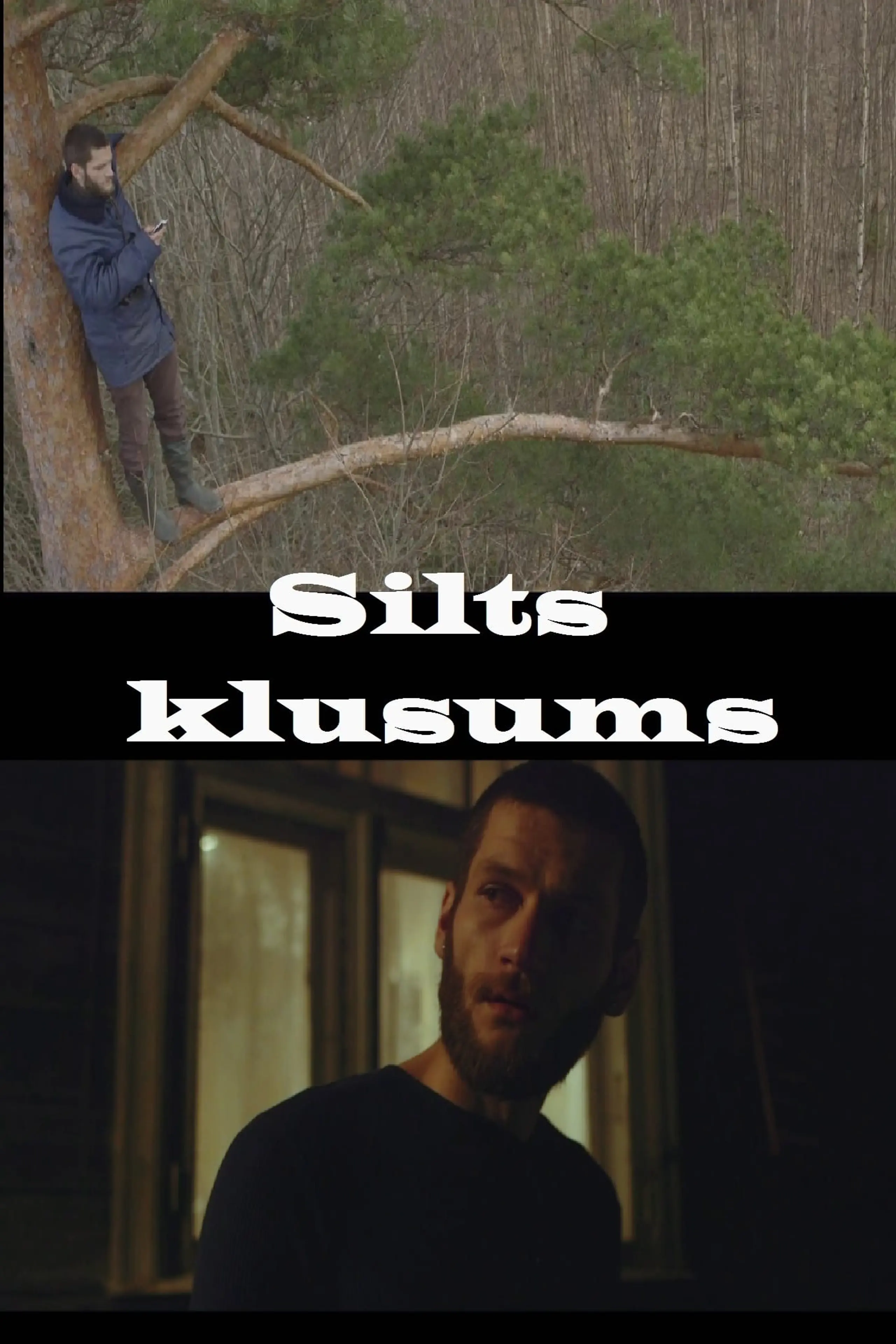 Silts klusums