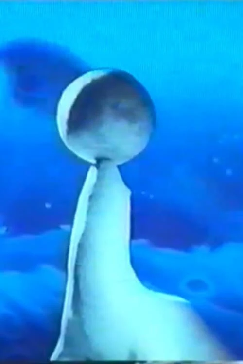 倒置