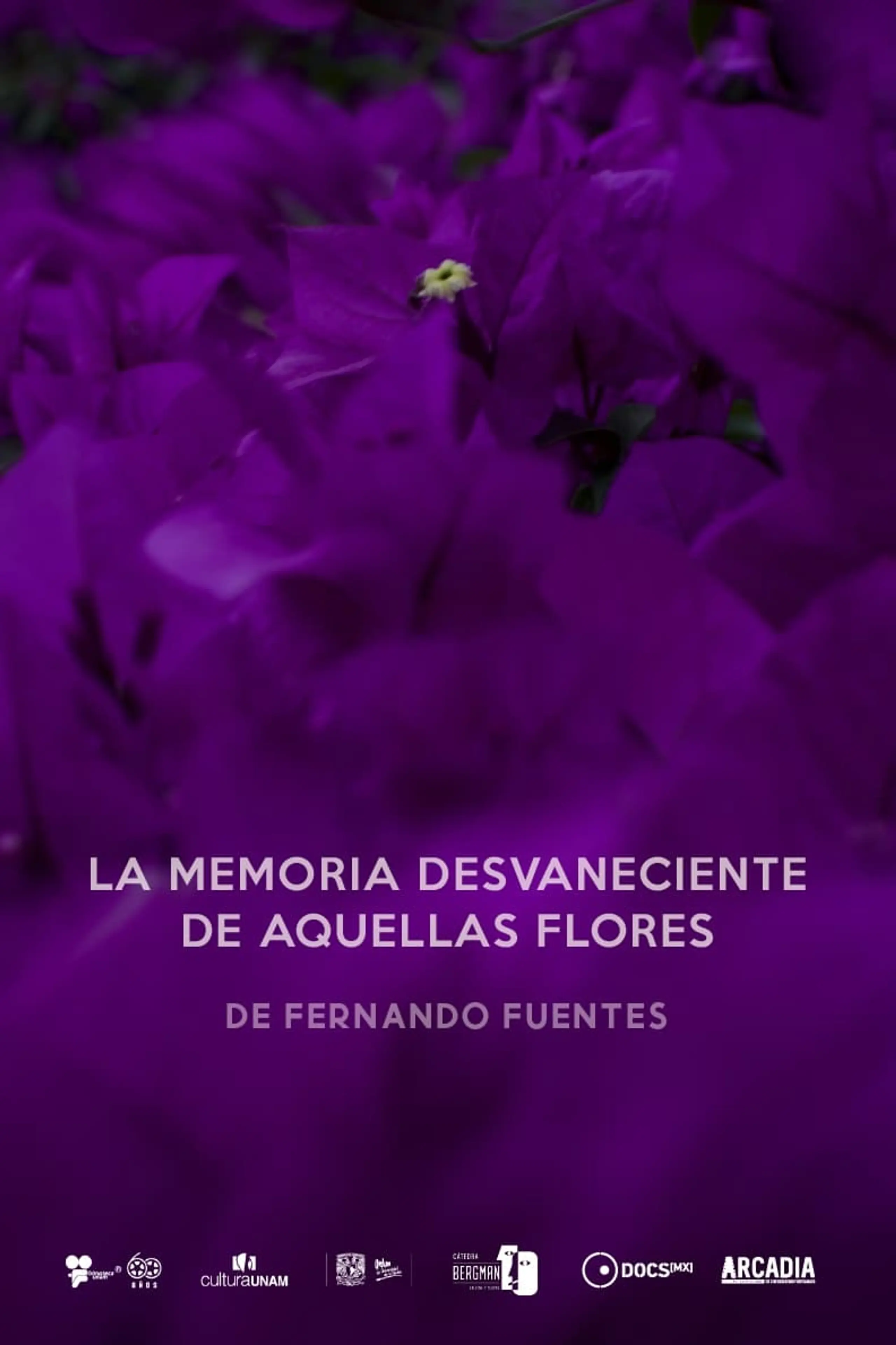 La memoria desvaneciendo de aquellas flores