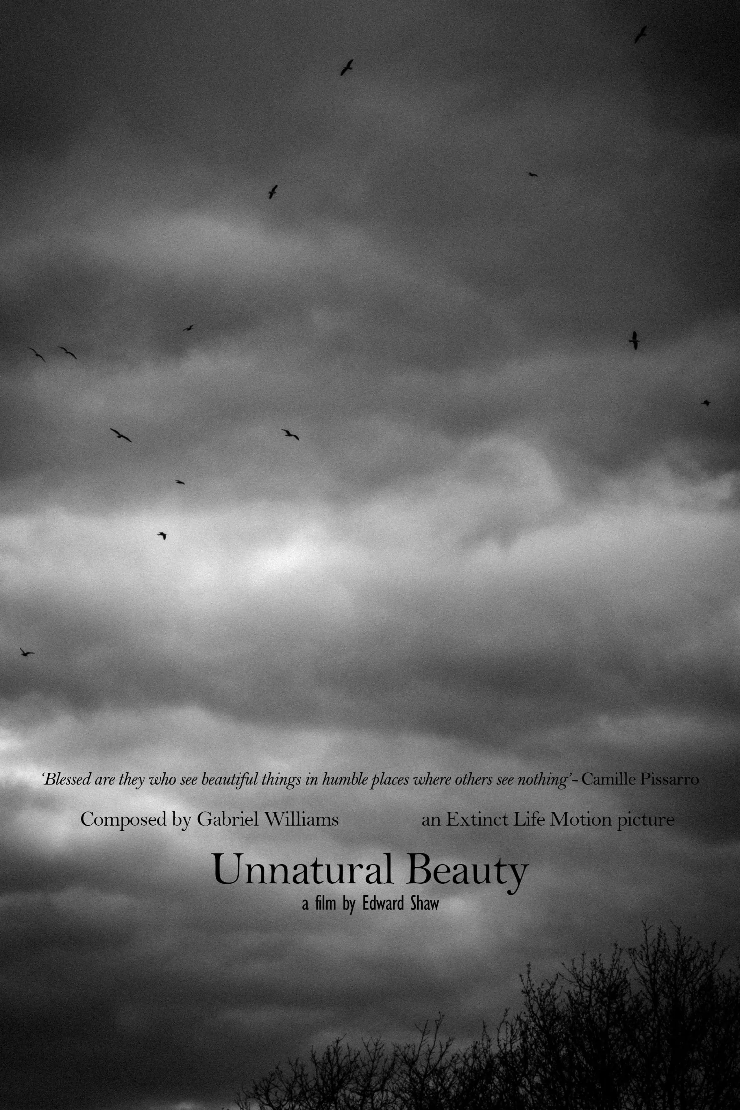 Unnatural Beauty